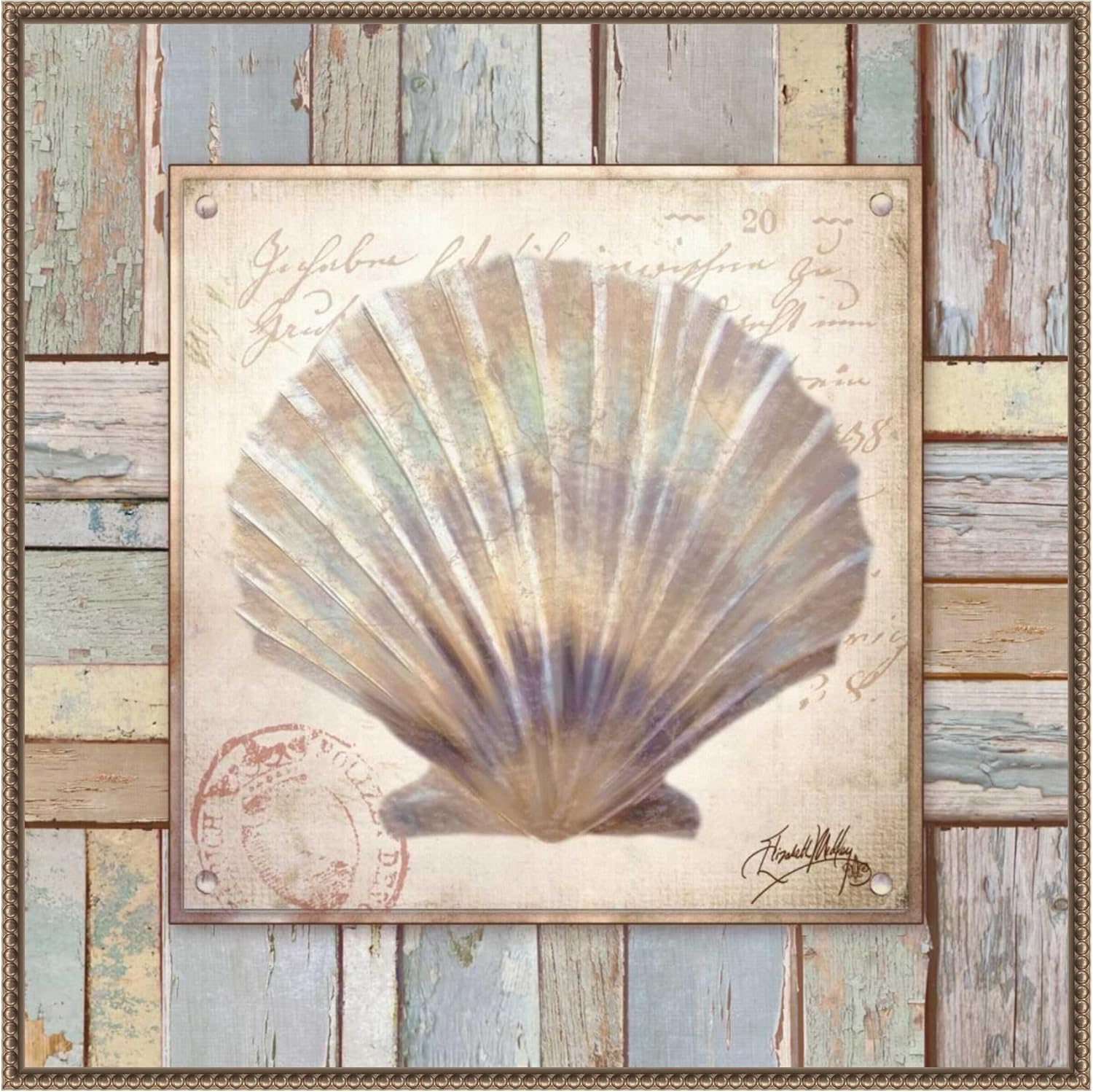 Amanti Art Framed Canvas Wall Art 30x30 Beach Shell I by Elizabeth Medley, Framed Wall Art Canvas, Beach Artwork, Traditional Decor, Large Poster Painting for Living Room, Bedroom, Bathroom, Kitchen,