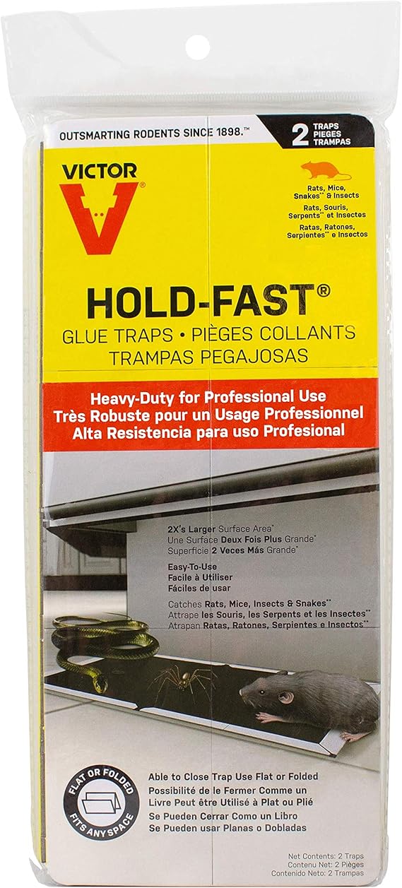 Victor M669TRI HoldFast Rat Glue Traps Amazon.ca Patio, Lawn & Garden