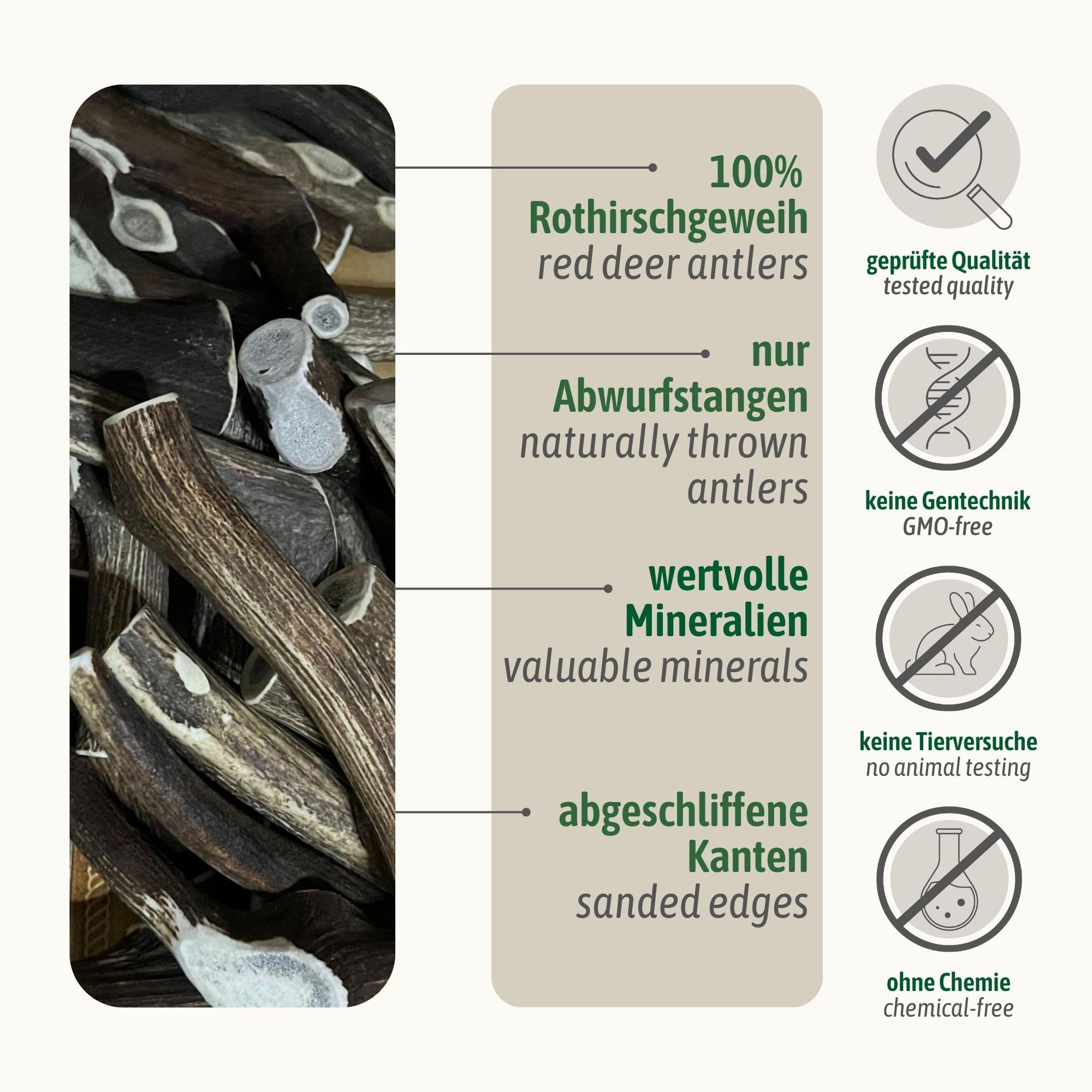 ChronoBalance® XS Kaustange für Hunde ganze Stücke als Kauspielzeug: 100% Hirschgeweih für Hunde, Hundespielzeug, Leckerli Zahnpflege, Kausnack, Geweih Kauknochen, Natürlich ohne Zusätze (5er Set)