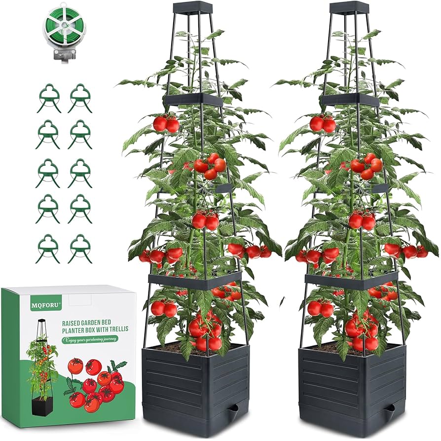 Amazon.com: MQFORU 2 Packs Raised Garden Bed Tomato Planter