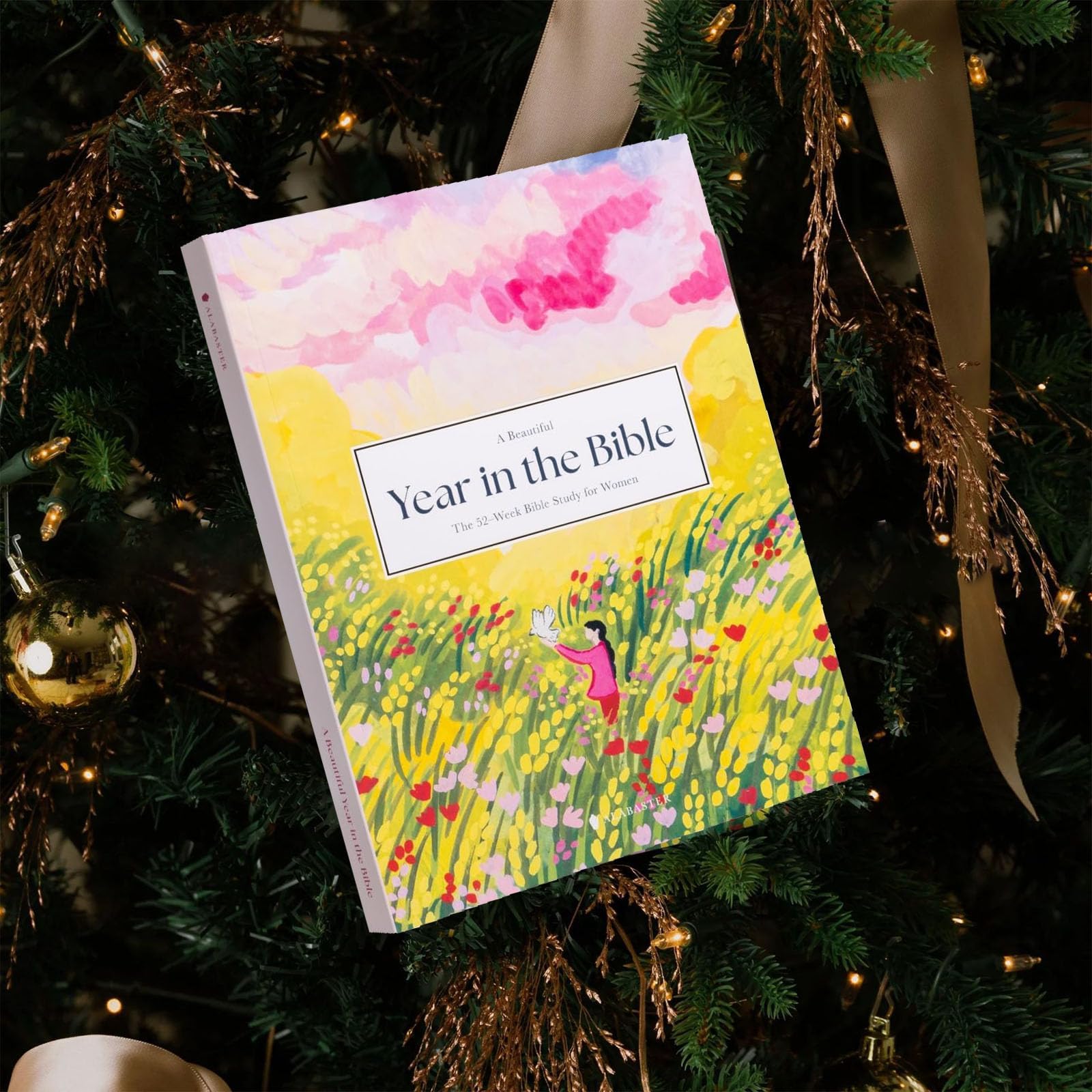 Un Anno Meraviglioso Nella Bibbia, 52 Settimane Di Studio Biblico Per Le Donne, Rafforzamento Della Fede E Dell'amore, Programma Di Lettura Ispiratrice, Guida Per Lo Studio Biblico Per Le Donne Anno B