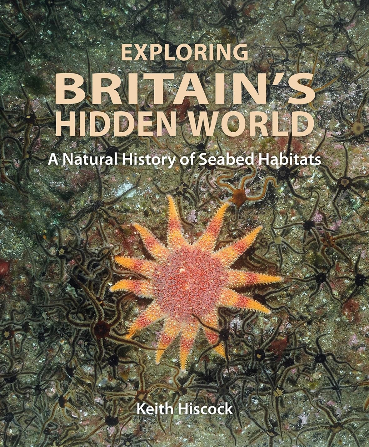 Exploring Britain's Hidden World: A natural history of seabed habitats: 10 (Wild Nature Press)