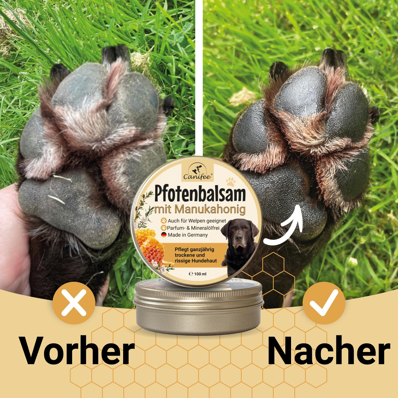 Pfotenbalsam Hunde mit Manukahonig 100ml Dose parfumfrei mineralölfrei die ideale Hunde Pfotenpflege für Sommer und Winter