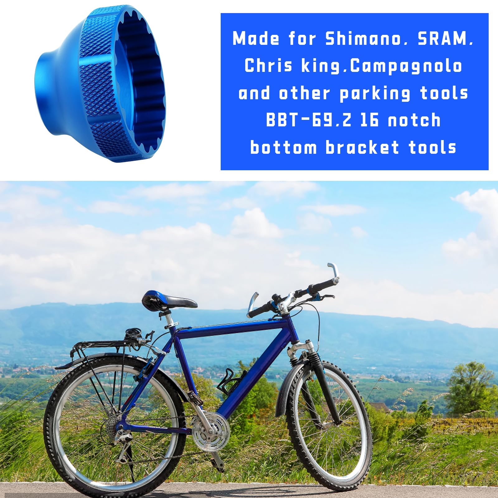 View 6