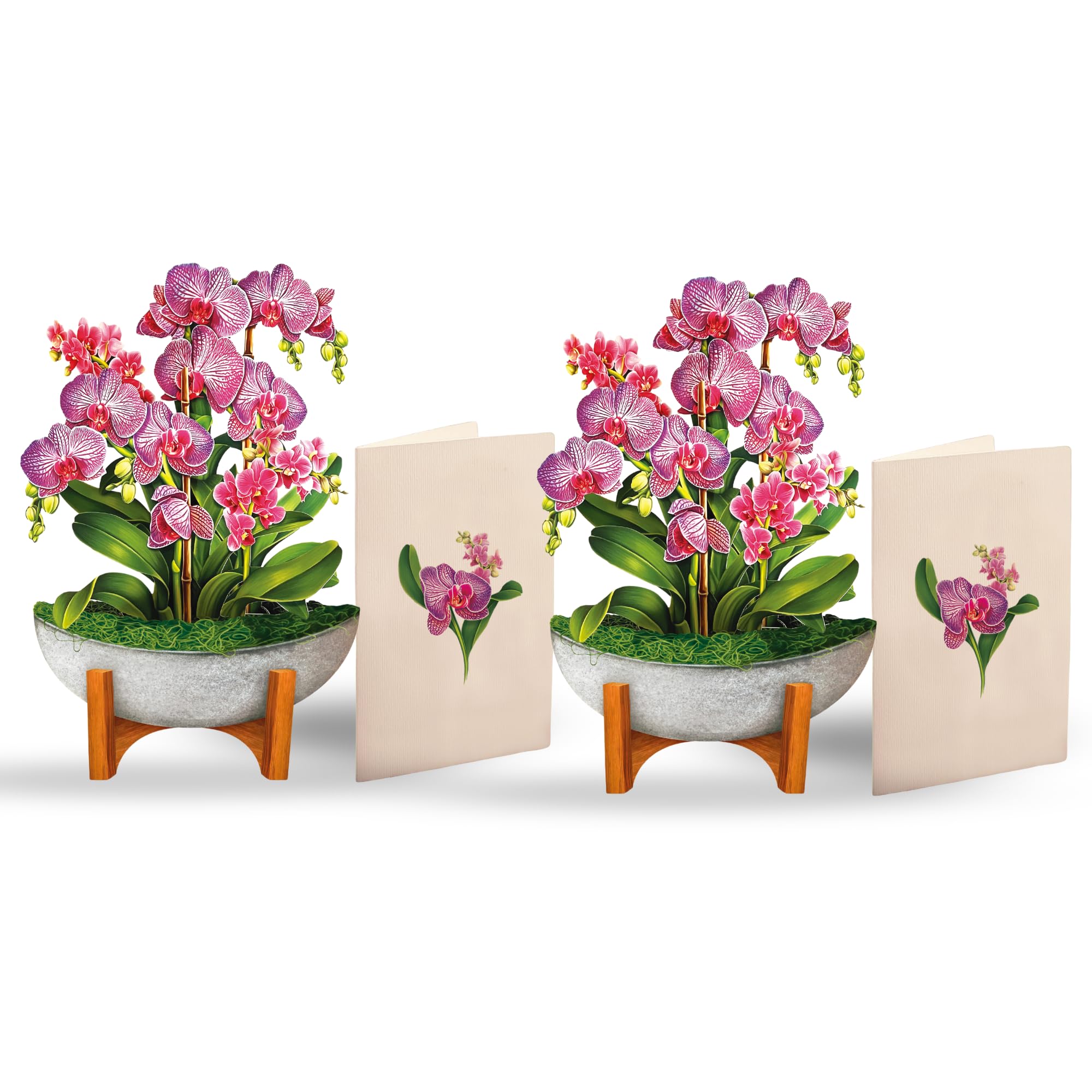 Freshcut Paper Pop Up Cards, Mini Orchid Oasis (Set of 2), 6 Inch Mini Sized Forever Flower Bouquet 3D Popup Greeting Cards, Birthday Card, Get Well