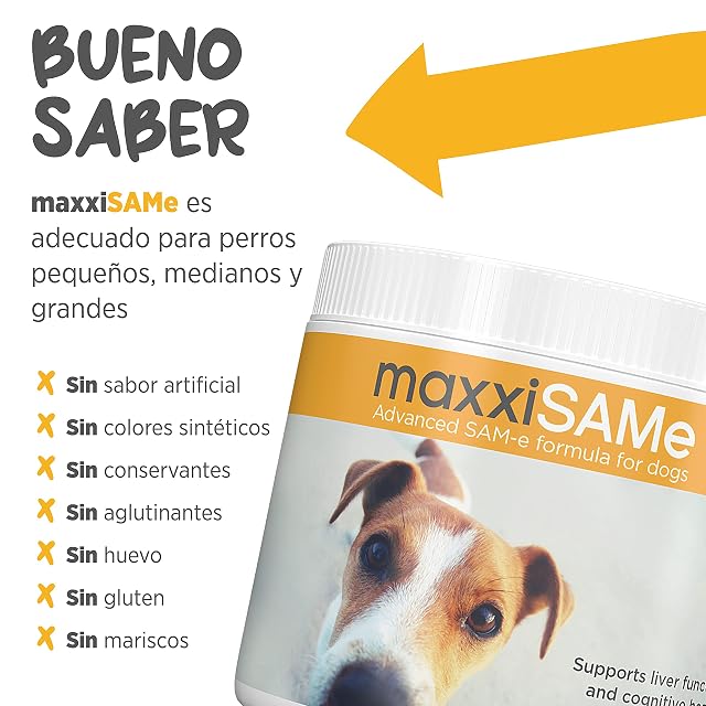 Foto 7 de 8 de maxxipaws maxxiSAMe Sam-e Polvo Perros- Apoyo al Hígado y la Cognición 150g