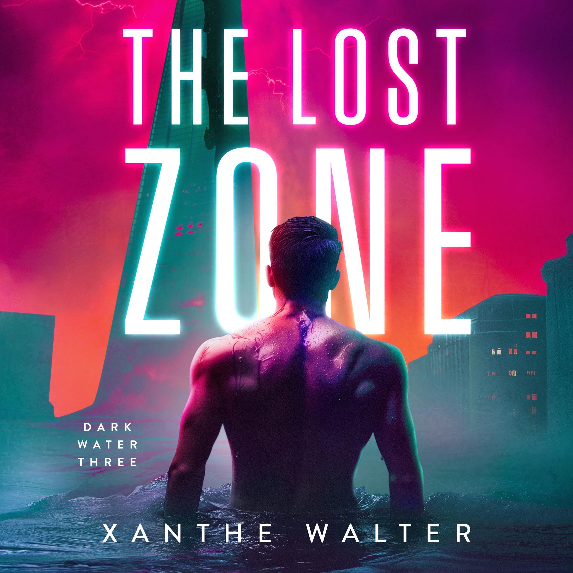 Cover art for The Lost Zone