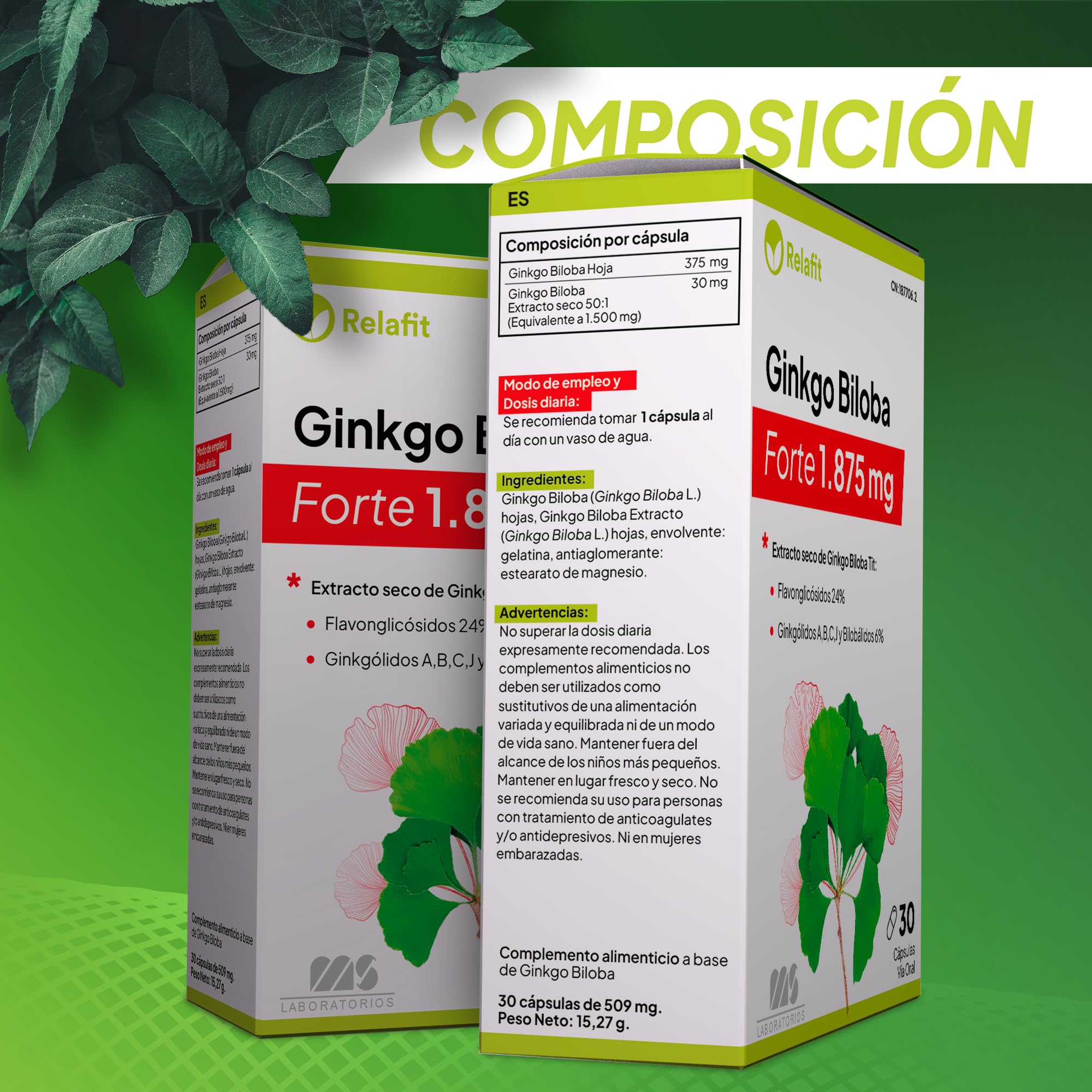Ginkgo Biloba Forte 1.850 mg - 30 Cápsulas | Potente antioxidante | Refuerza la memoria y concentración | Nootropico | Ayuda a la circulación | Suministro para 1 mes | Relafit - Laboratorios MS