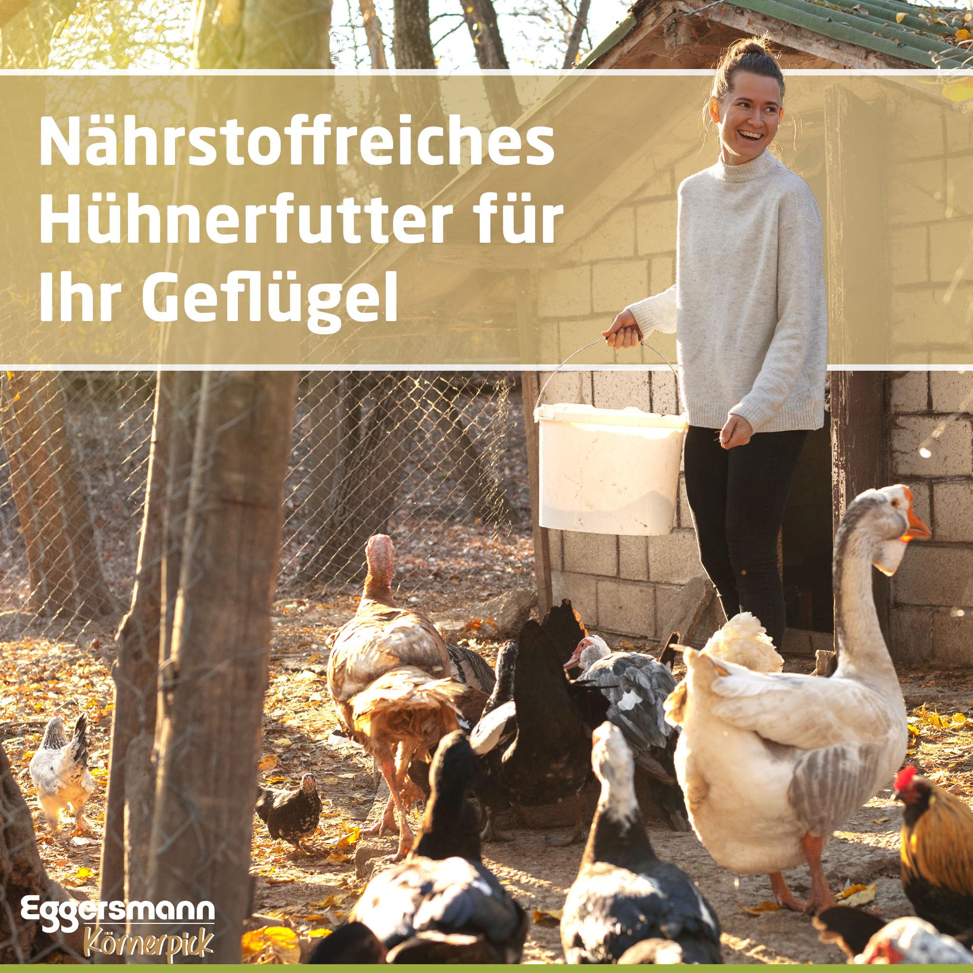 Eggersmann Körnerpick Wachtel Futter 10 kg – GVO-freies Alleinfutter für Wachteln –Schmackhaftes Wachtelfutter mit schnabelgerechter Körnung – Ausgewogene Körnermischung für Legewachteln