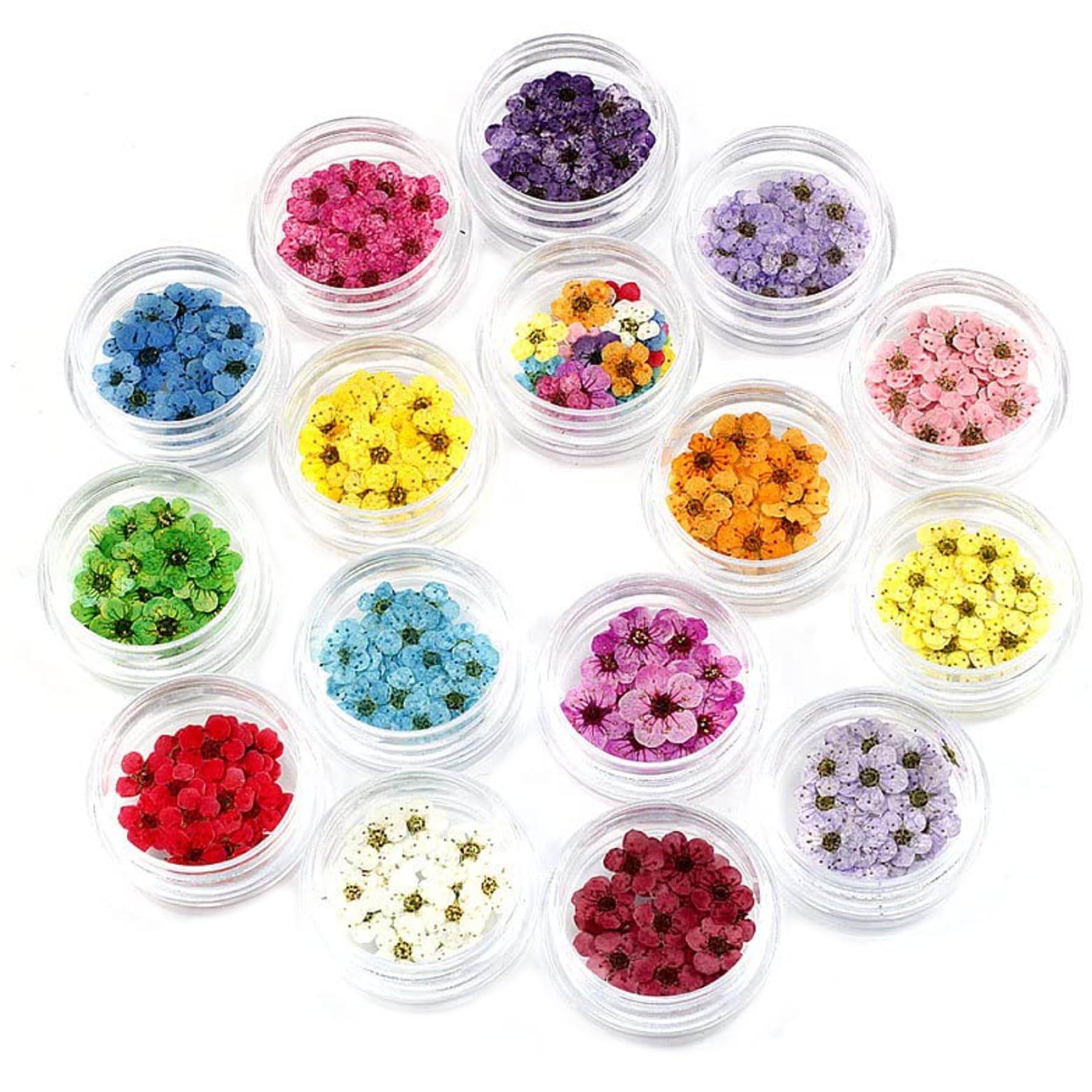 Fleurs séchées nail art 16pcs : la solution pour des manucures maison sans relief rugueux