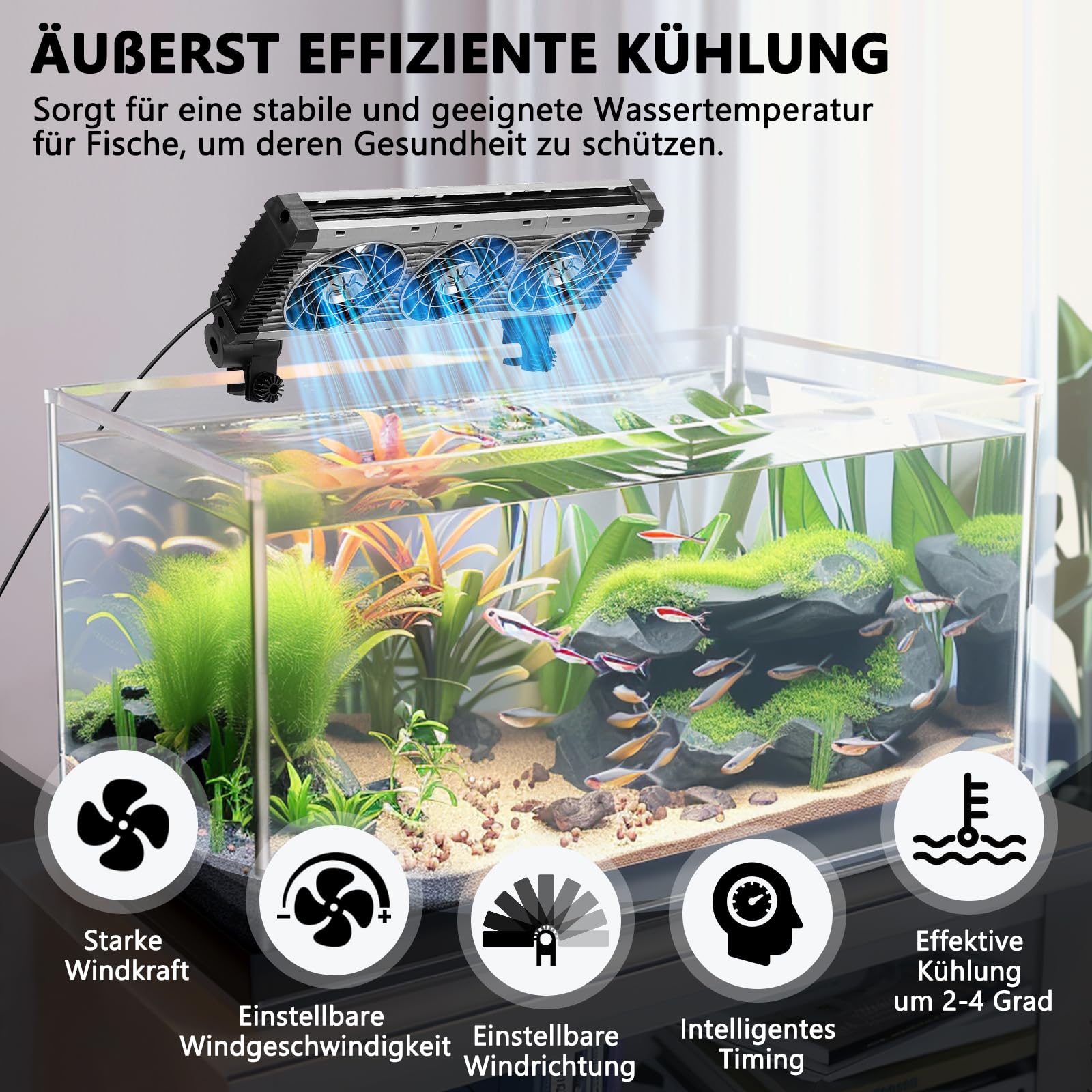 fishkeeper Ventilateur d'aquarium, Refroidisseur d'aquarium, Vitesse d'air réglable et minuterie, Ventilateur d'aquarium Silencieux pour Aquariums d'eau Douce et d'eau salée jusqu'à 60 cm