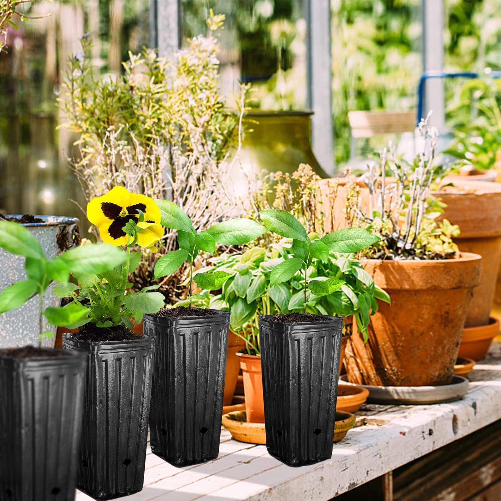 40 macetas Profundas para vivero, macetas de árbol de 20 cm de Alto, macetas Altas con Agujeros de Drenaje, macetas Profundas para Plantas de jardín de Interior y Exterior, Vegetales, Flores