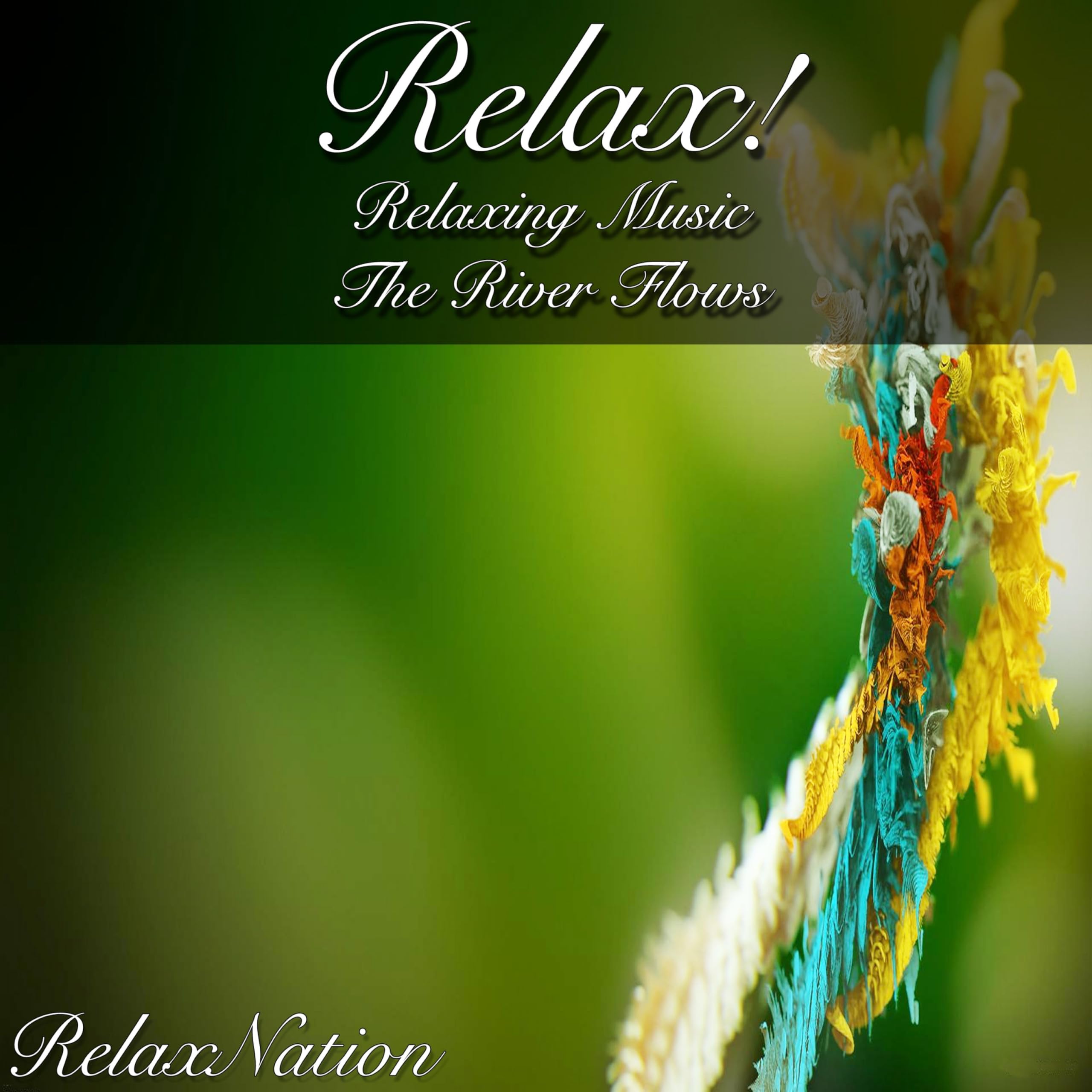RelaxNation