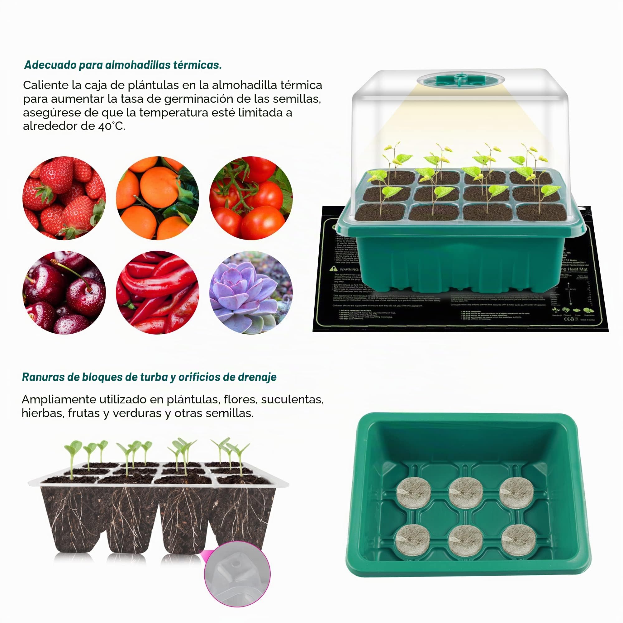 Nuevo Bandejas de Semillas, 5 Piezas, 10 Celdas Cultivo de Mini Invernadero, con Luz de Cultivo Solar de Espectro Completo, Caja de Cultivo De Invernadero Interior con Tapa y Ventilaciones