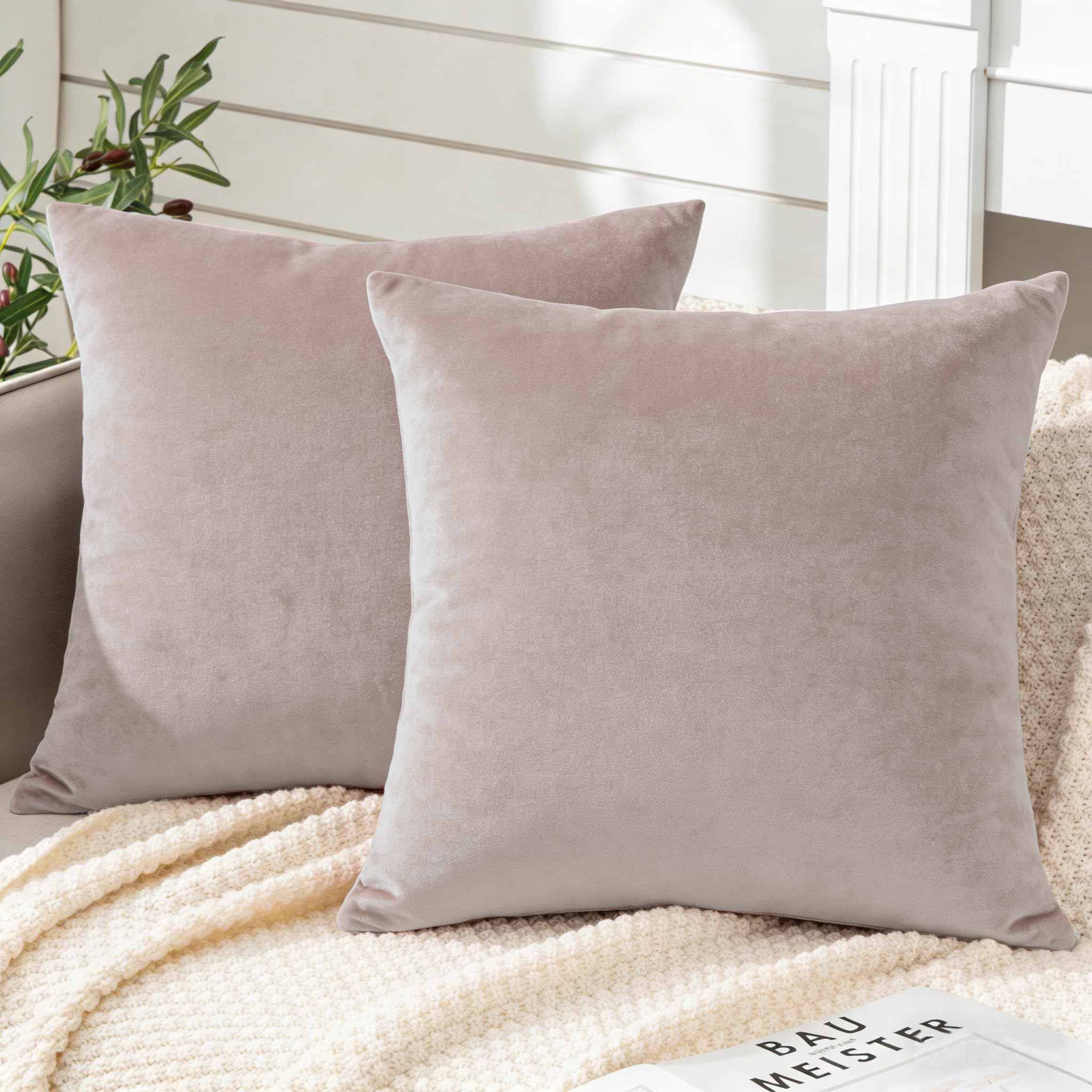 Soifox Pack of 2 Velvet Cushion Covers Beige Decorative Square Throw Pillow Covers Pillowcases 50x50 cm 20x20 Inch Cushion Case Home Decor Pillow Cases for Couch Sofa Living Room Bed