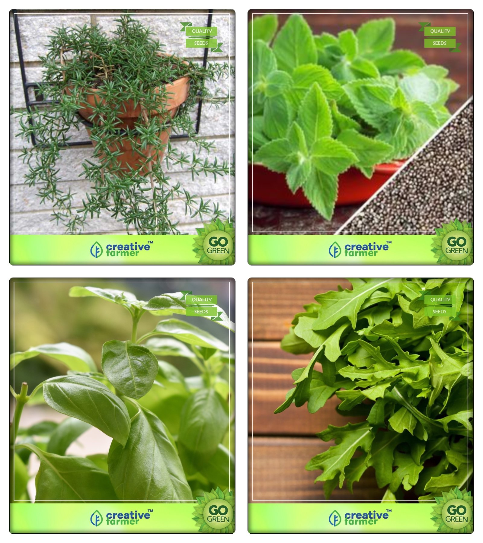 Creative Farmer Combo Herbal Seeds Rosemary, Mint, Lemon Basil, Wild Rocket Herb Seeds Combo Pack (B078V2QMKP) Amazon Price History, Amazon Price Tracker