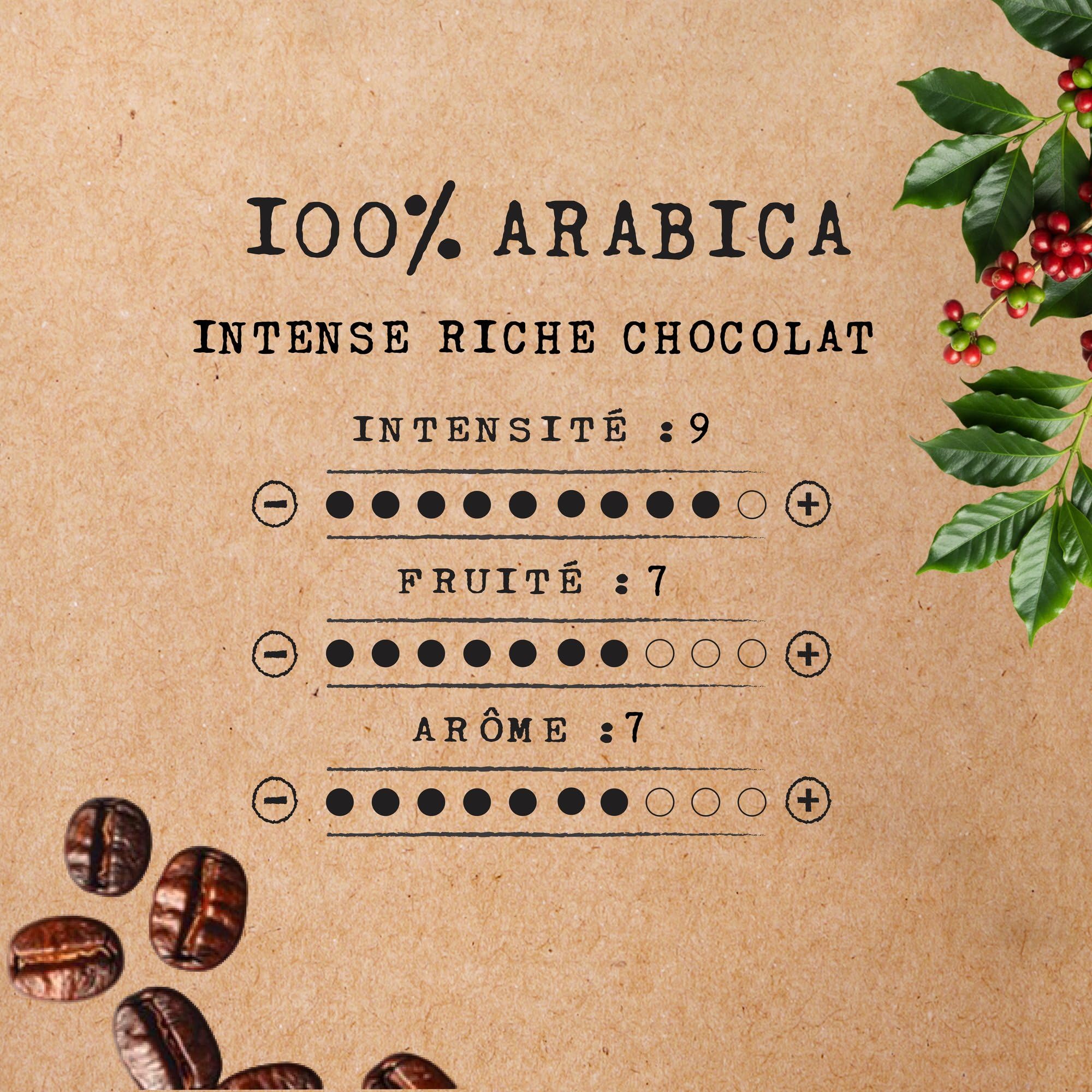 Cafés Méo - Café en Grains Biologique Intense Pur Arabica - 3 kg - Intensité 9/10 - Arômes Authentiques, Corsé et Intense - Agriculture Biologique - Lot de 6 x 500 gr