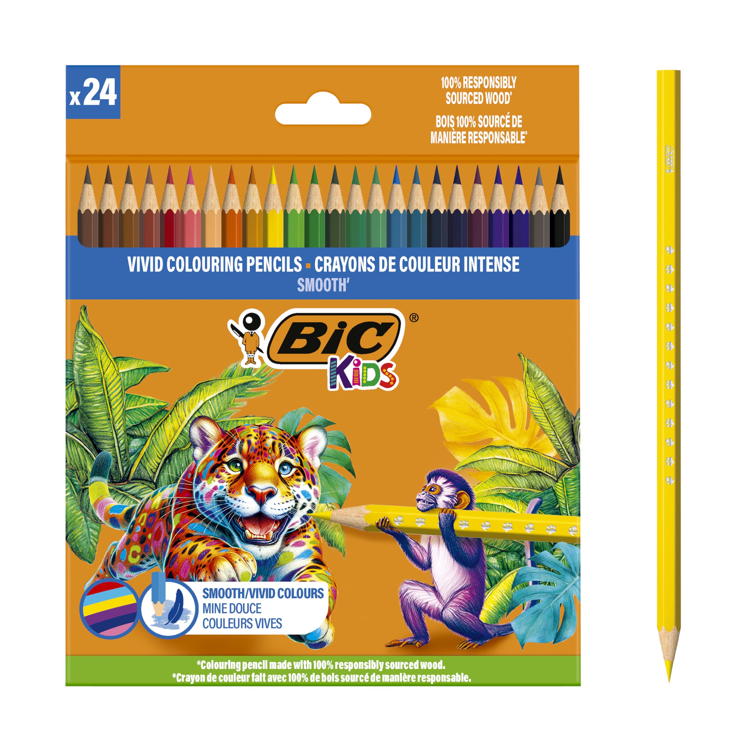 BIC Smooth Ahşap Kuru Boya Kalemi 24 Renk, Ahşap Kuru Boya,Altıgen Gövde, 5 Yaş Üzeri için İdeal, Canlı Renkler