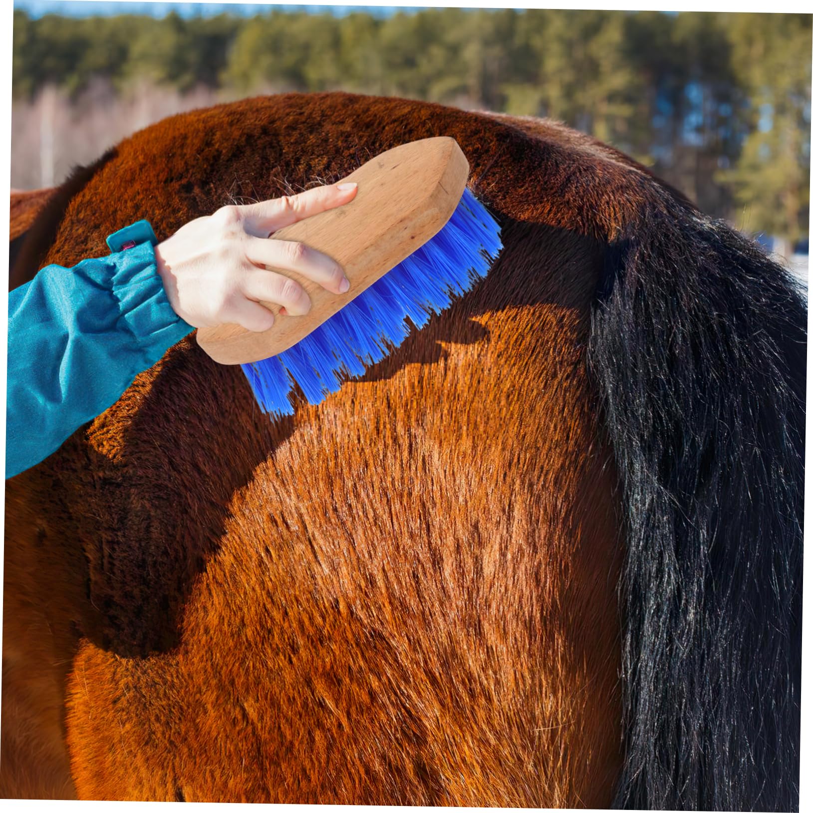 Didiseaon 4 Cepillos Para Caballos Cepillo Para El Pelo Peine Para Limpiar El Pelo De Caballo Removedor De Pelo De Caballo Cepillo Para Rascar Ganado Cepillo Para El Cuidado De