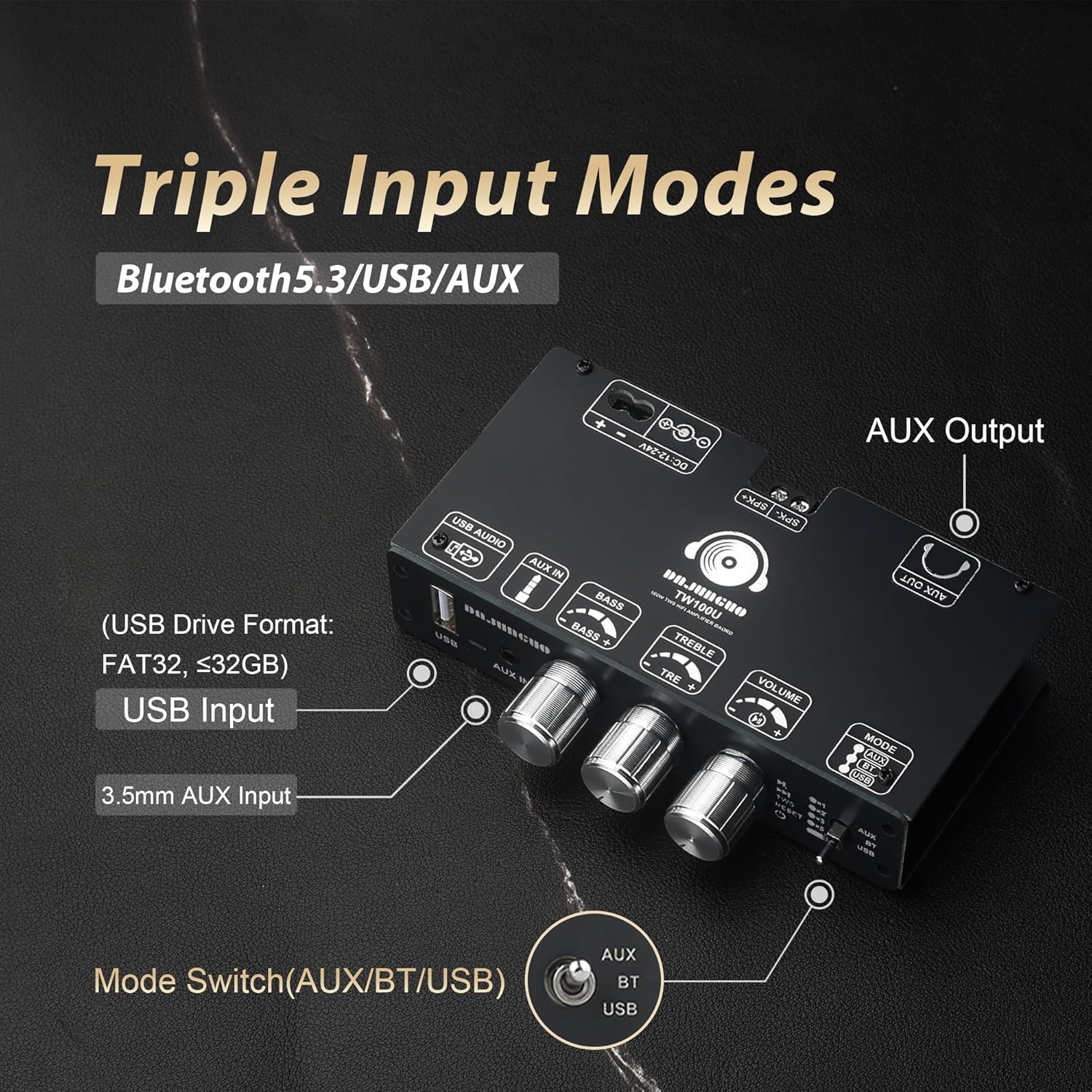 2PCS TW100U 100W Mono Amplifier Board, TPA3116D2 Digital Power Amp Module with Built-in Step-up Voltage Circuit (19V/24V), Supports TWS Wireless Pairing, Bluetooth 5.3, AUX, USB Input, DC 12-24V
