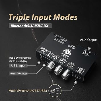 100W Mono Bluetooth 5.3 Amplifier Board, TPA3116D2 Digital Power Amp Module, Support TWS Wireless Pairing, AUX/USB/Bluetooth Input, Wide Voltage Input DC 12-24V,for DIY Speakers(2PCS TW100U)