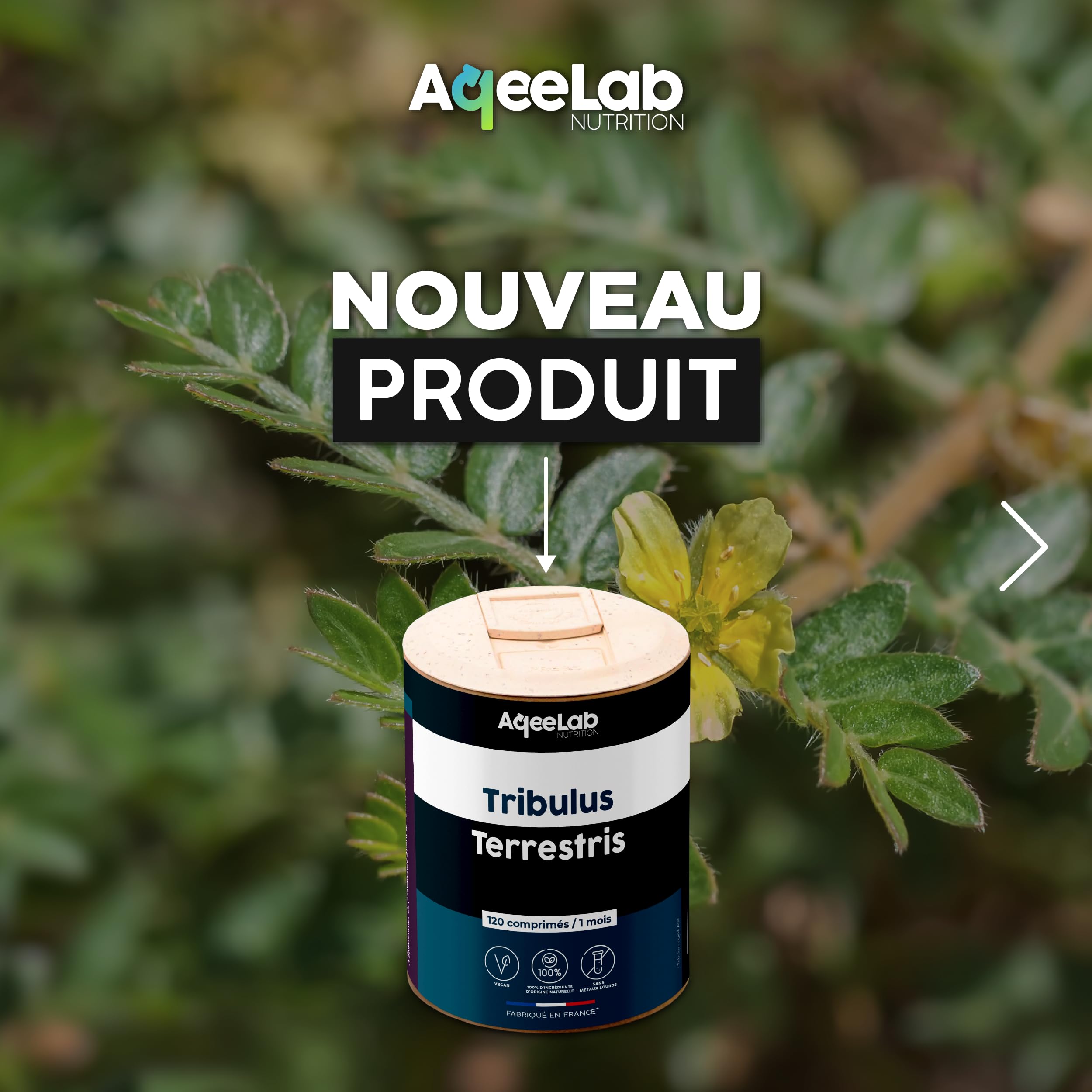 Tribulus Terrestris 2400 mg • AqeeLab Nutrition • 120 gélules végétales • 1 mois • Teneur garantie en Saponine • Force, Énergie & Libido • Fabriqué en France • Marque écoresponsable