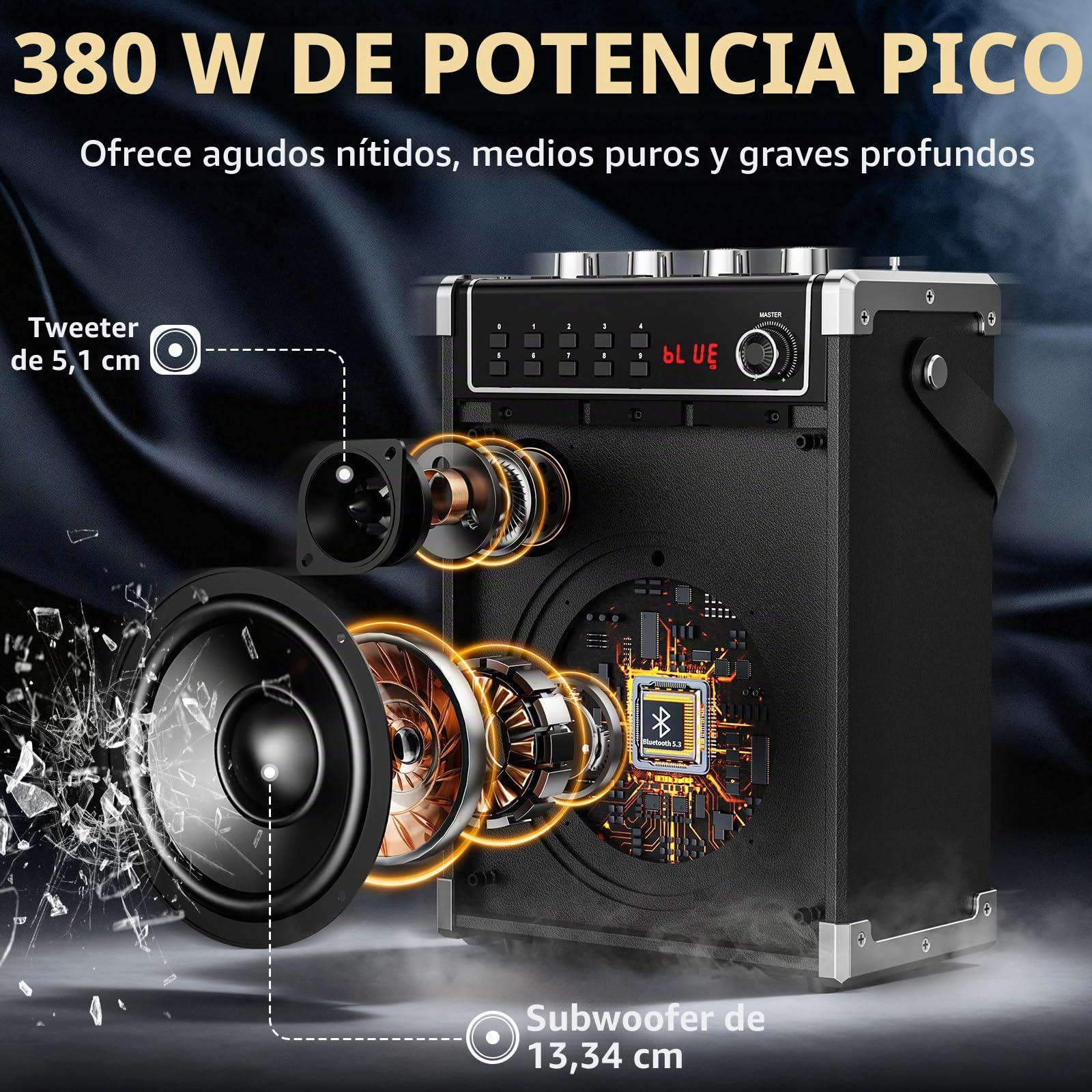JYX Máquina de karaoke con dos micrófonos inalámbricos, ajuste de bajos/agudos y luz LED, soporte TWS, entrada AUX, radio FM, REC, suministro para fiesta/reunión/boda - negro