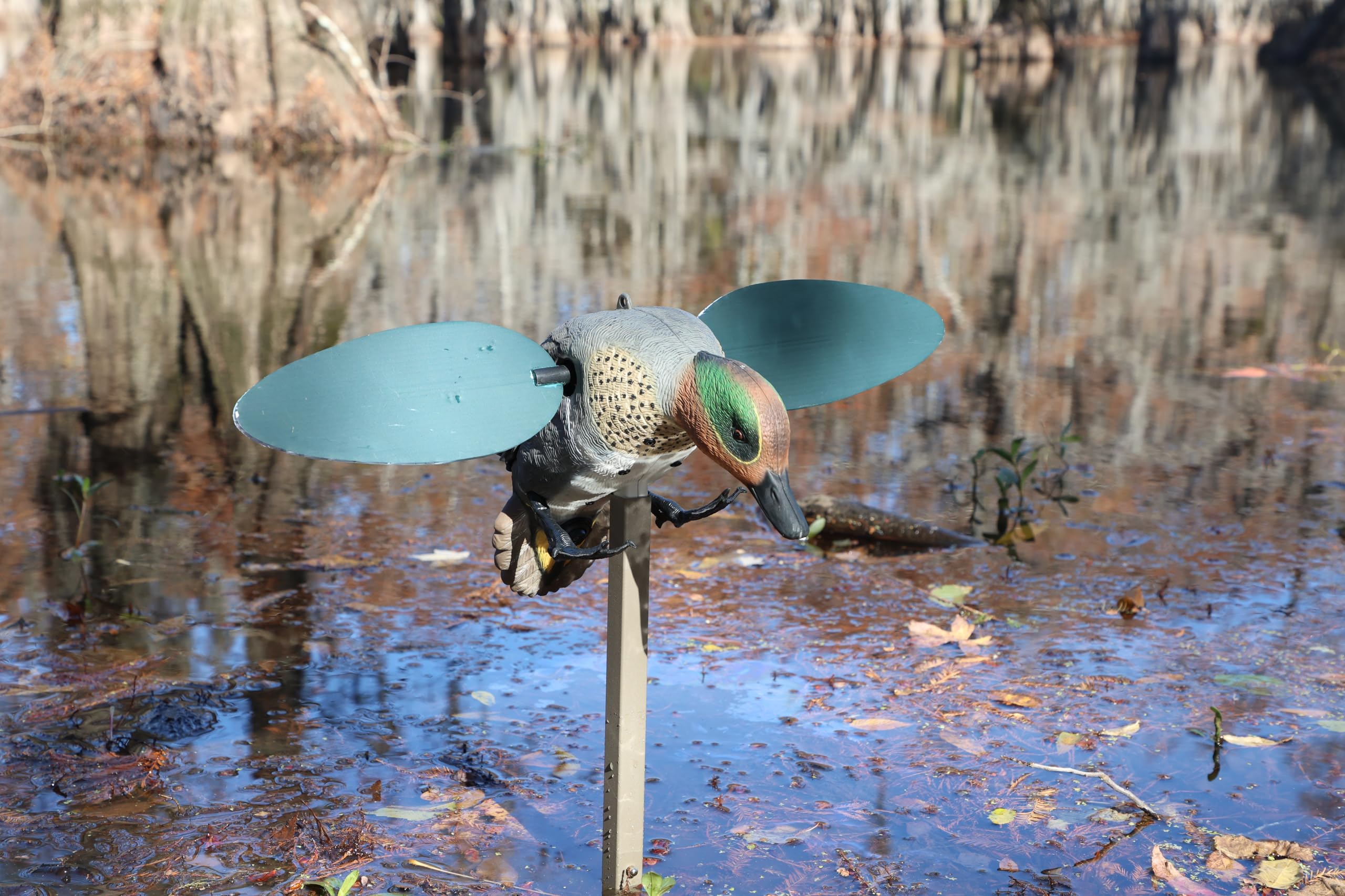 MOJO Outdoors Green Wing - Spinning Wing Duck Lockvogel mit superschnellen magnetischen Flügeln / Realistische Wasservögelbewegung / High-Detail-Design / 3-teilige Metallstützstange