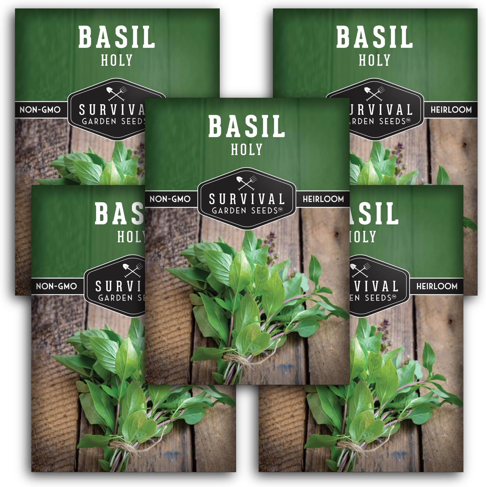 Holy Basil Seed for Planting - Indian Sacred Herb Tulsi Seeds to Grow in Your Home Vegetable Garden - Non-GMO Heirloom Variety - Survival Garden Seeds (5 Packs)