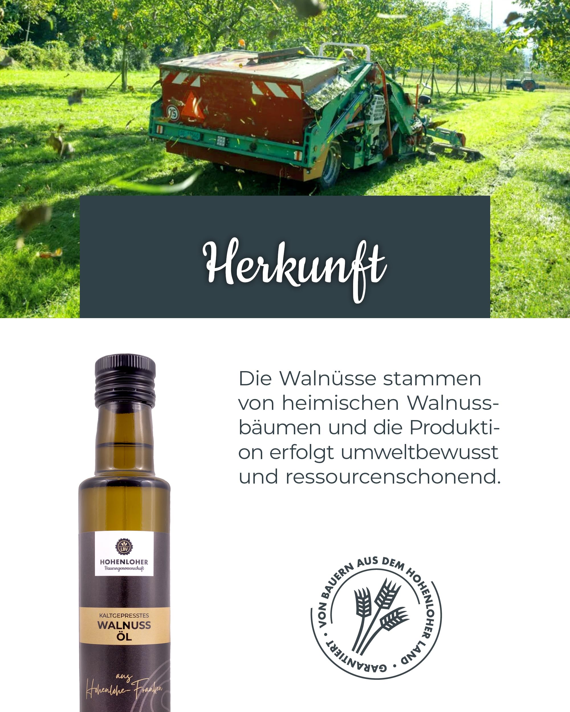 Hohenloher Bauerngenossenschaft Walnussöl kaltgepresst 250ml - Schonend kaltgepresstes Walnussöl mit nussig-feinherbem Aroma - Öl von regionalen Walnussbäumen