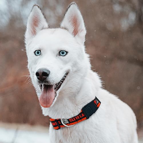 Miniatura 150 de NFL - Collar para perro de Philadelphia Eagles, collar mediano del equipo de fútbol para perros y gatos. Un collar brillante y colorido para gatos