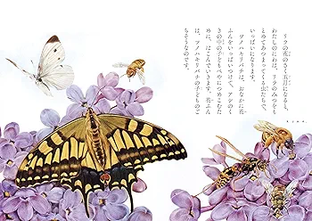 ファーブル昆虫記 (ビジュアル特別版) | ジャン＝アンリ