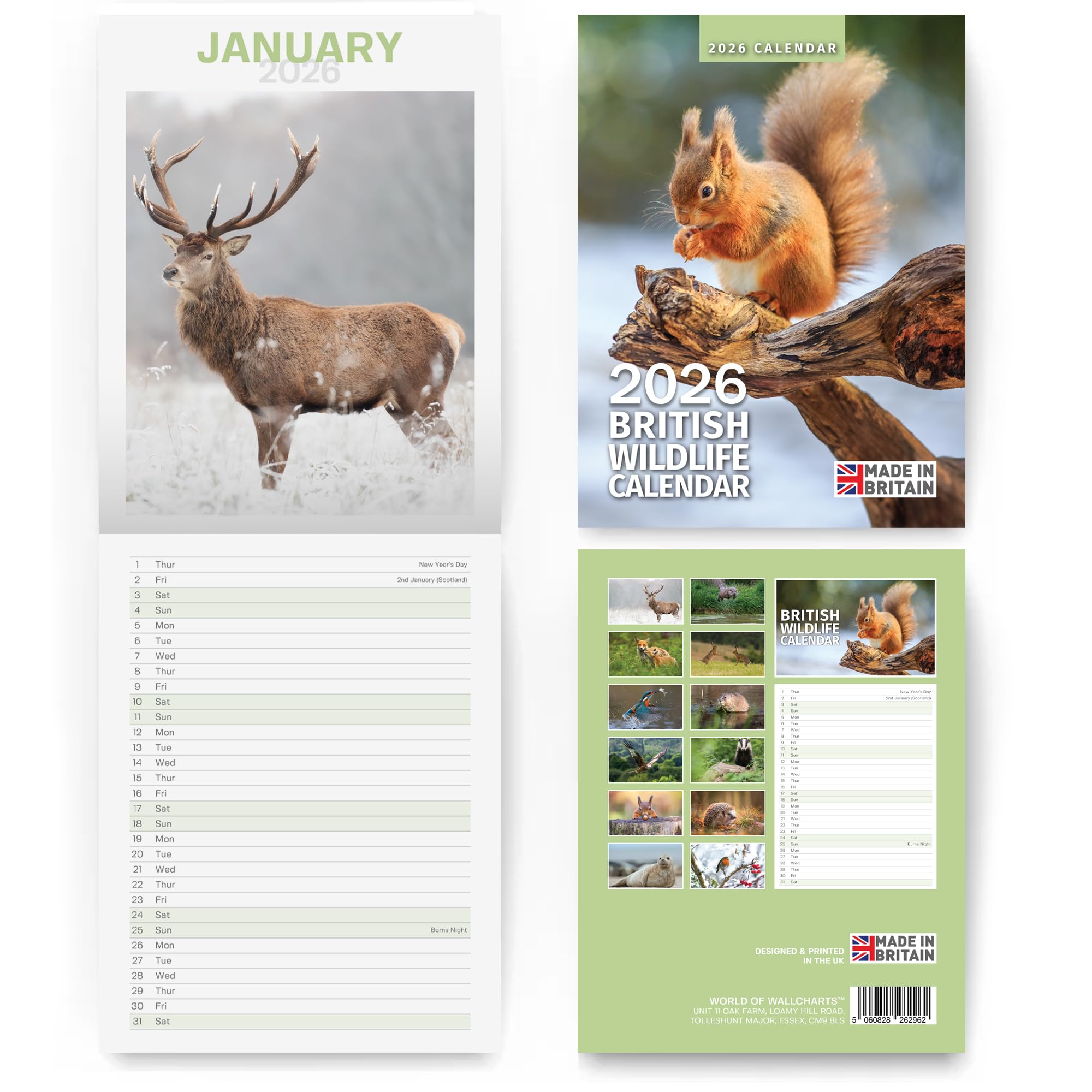Schmaler Wandkalender 2026 von British Wildlife – Weihnachtsgeschenke für Männer – Monatsansicht für Naturliebhaber