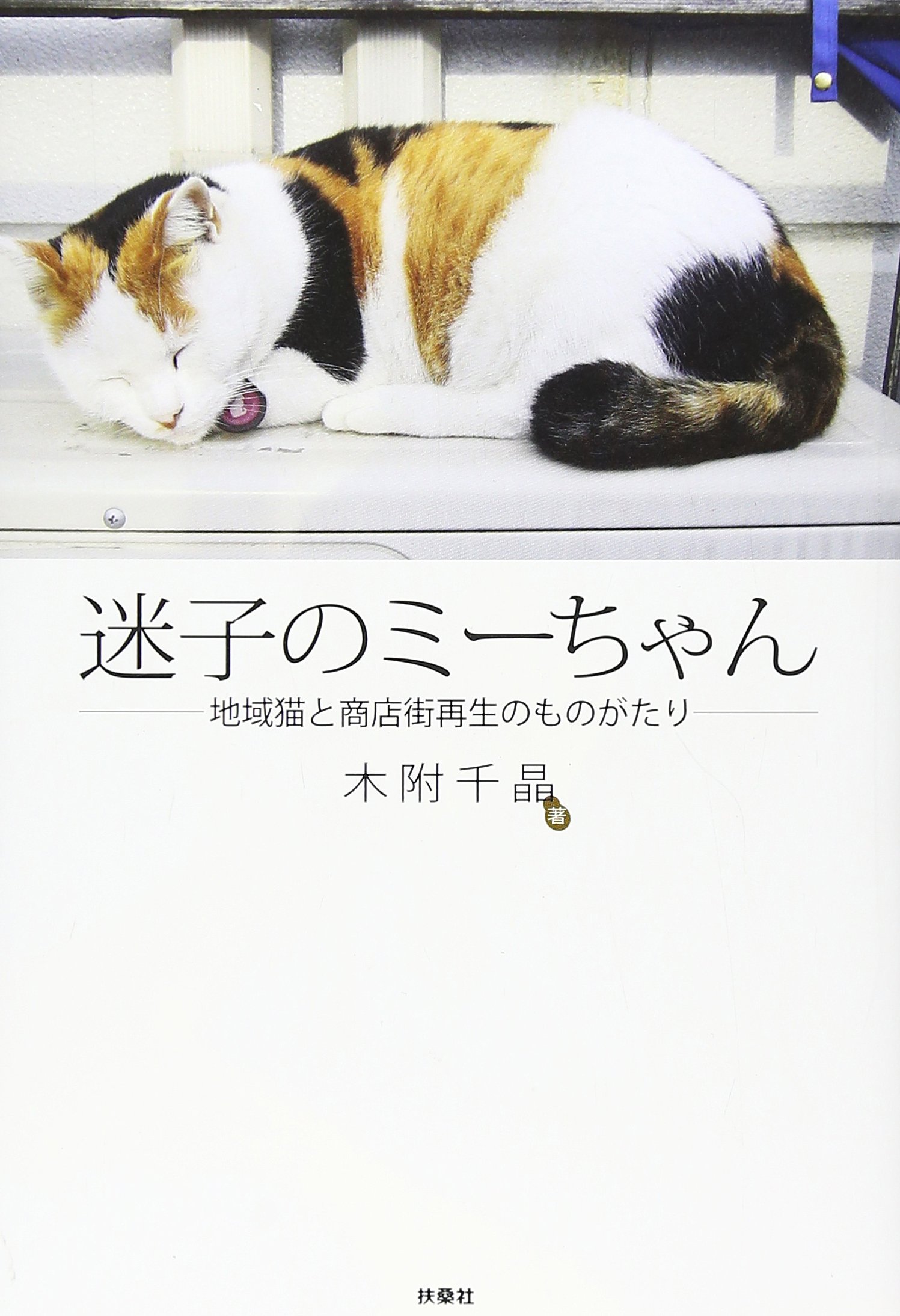 mizutamakirari様❤オーダー❤️チーターベビちゃん♡双子子猫ちゃん♡ mizutamakirari様❤オーダー❤️チーターベビちゃん♡双子子猫ちゃん
