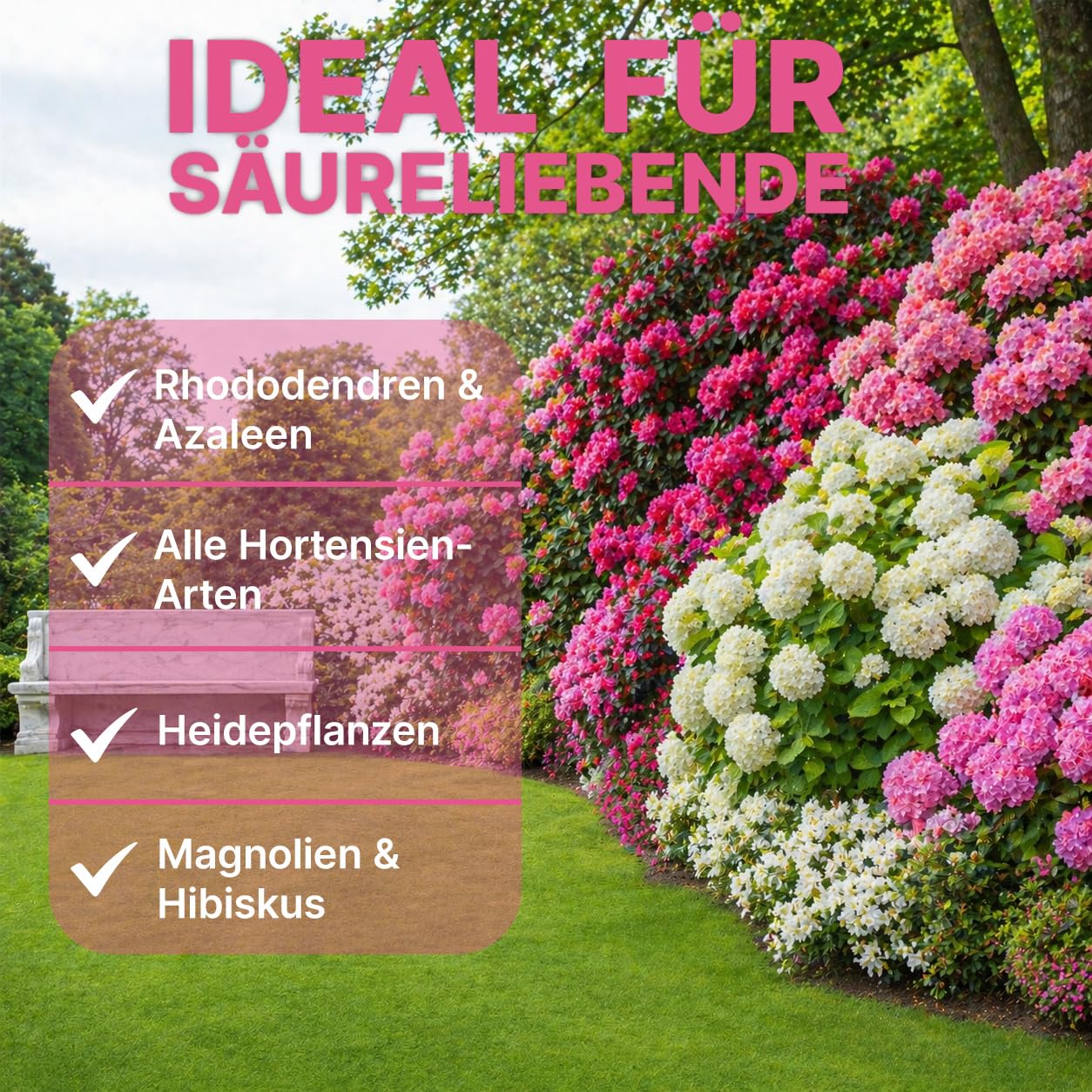 GiDeli Rhododendron Dünger & Hortensiendünger 15 kg Granulat NPK Mg