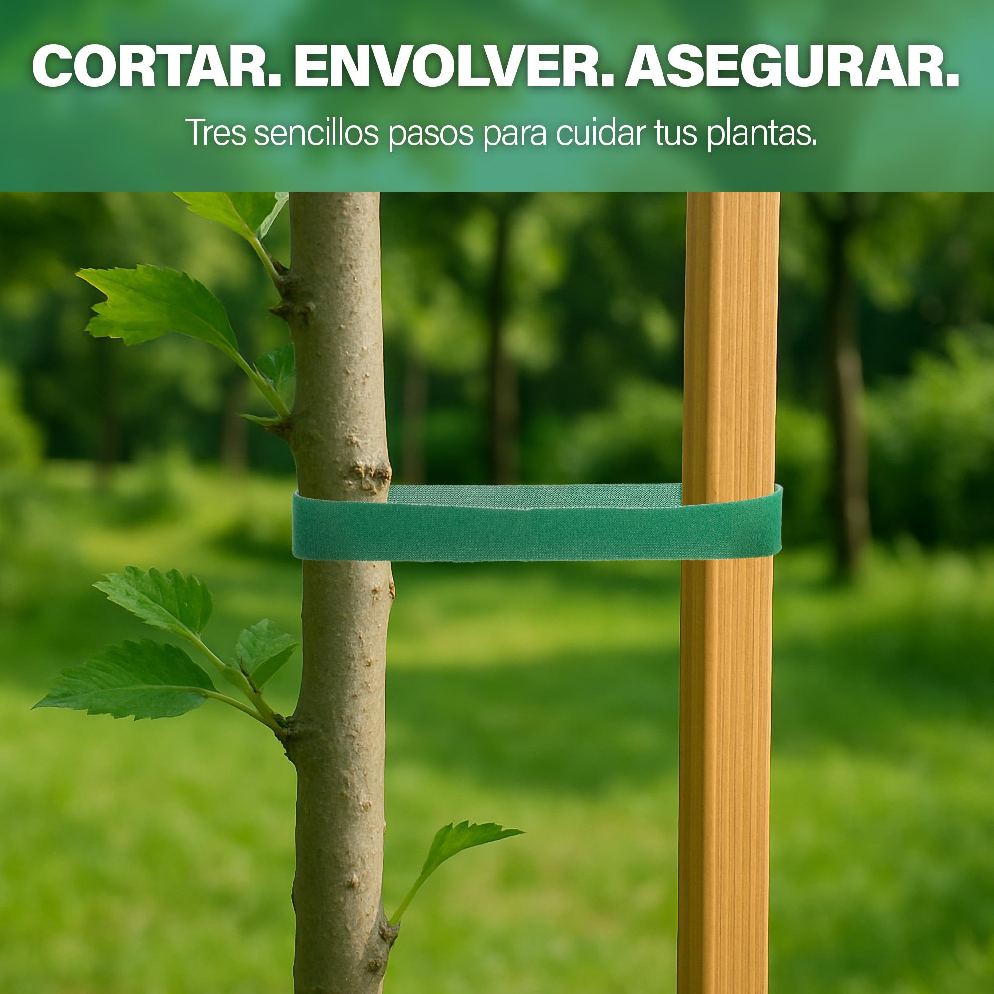 Cinta de amarre para plantas de jardín, rollo de 10 m x 20 mm, lazos de jardín reutilizables para plantas, árboles, vides y arbustos