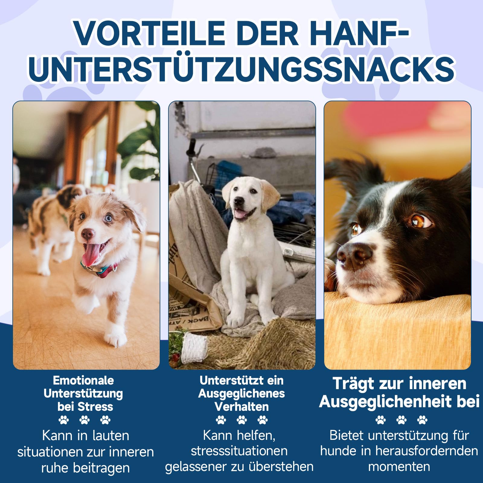 Woyamay Beruhigungsmittel für Hunde-200 Stück Natürliche Beruhigungsmittel Snacks für Hunde, Gegen Trennungsangst, Bellen, Feuerwerk & Gewitter – für Alle Hunderassen, Hähnchengeschmack