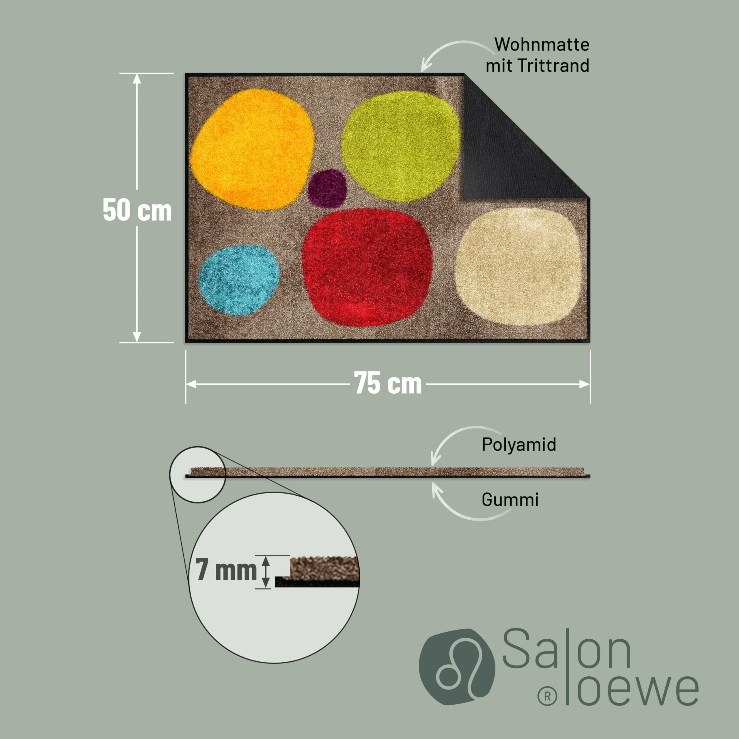 Salonloewe Minimatte Broken Dots Colourful I Schmutzfangmatte & Fußabtreter für Innen 50 x 75 cm