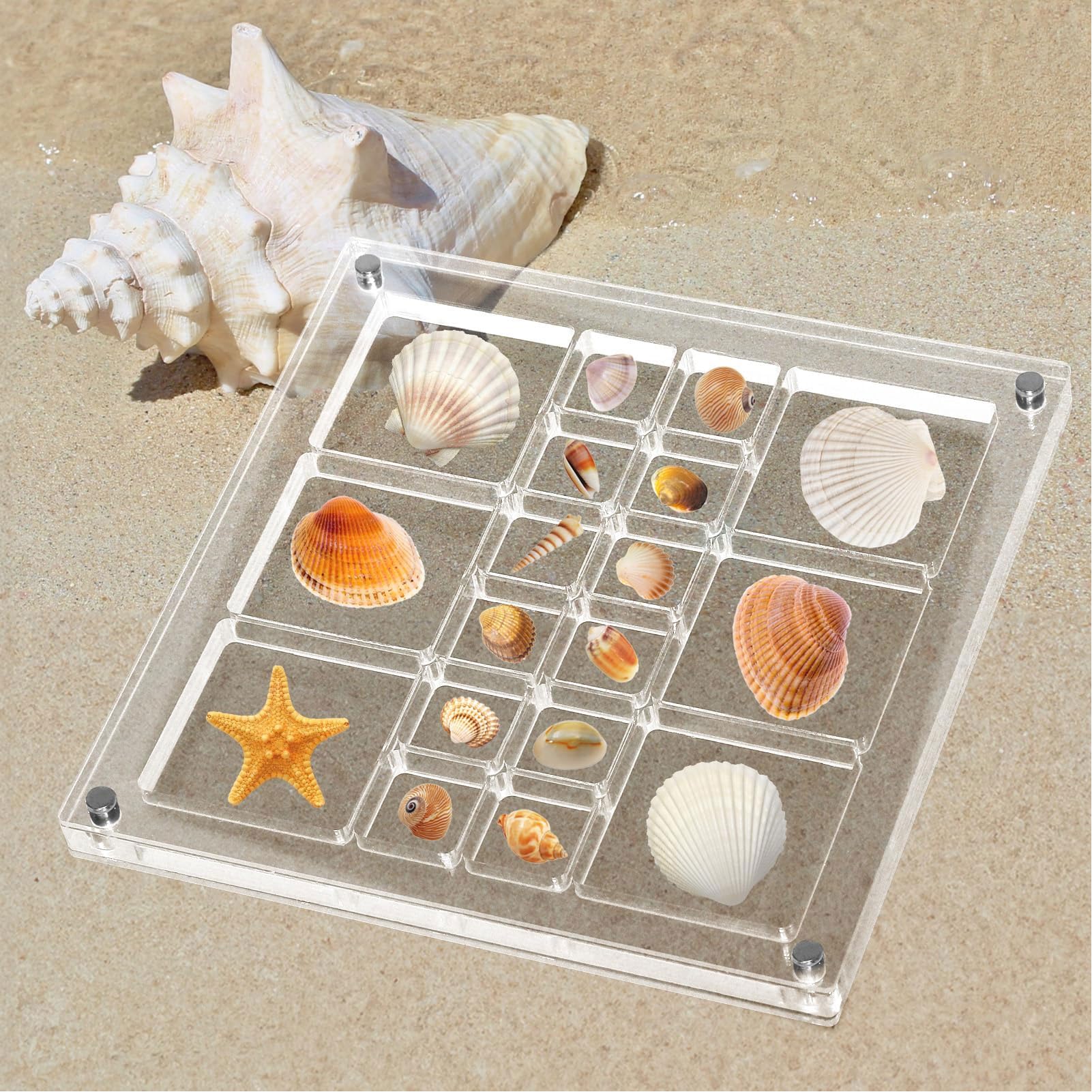 AHANDMAKER 4er-Set Acryl Muschel-Präsentationsboxen – Durchsichtige Sammelboxen Für Muscheln, Perlen & Bastelzubehör, 17.9 X 11 X 1.45 Cm