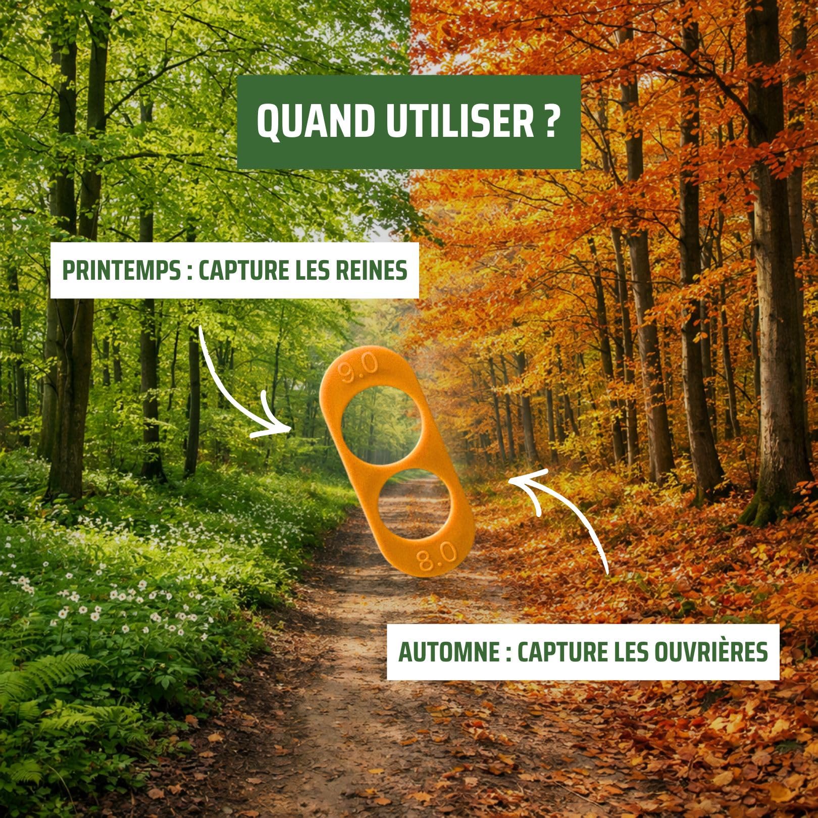Protecta® Piège à Frelons Asiatique Sélectif - Capture Uniquement Les Frelons Asiatiques – Piège Réutilisable sans Insecticide- Usage Extérieur Jardin & Terrasse (1)