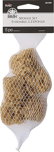 FolkArt Juego de esponjas sintéticas, pequeño, marrón