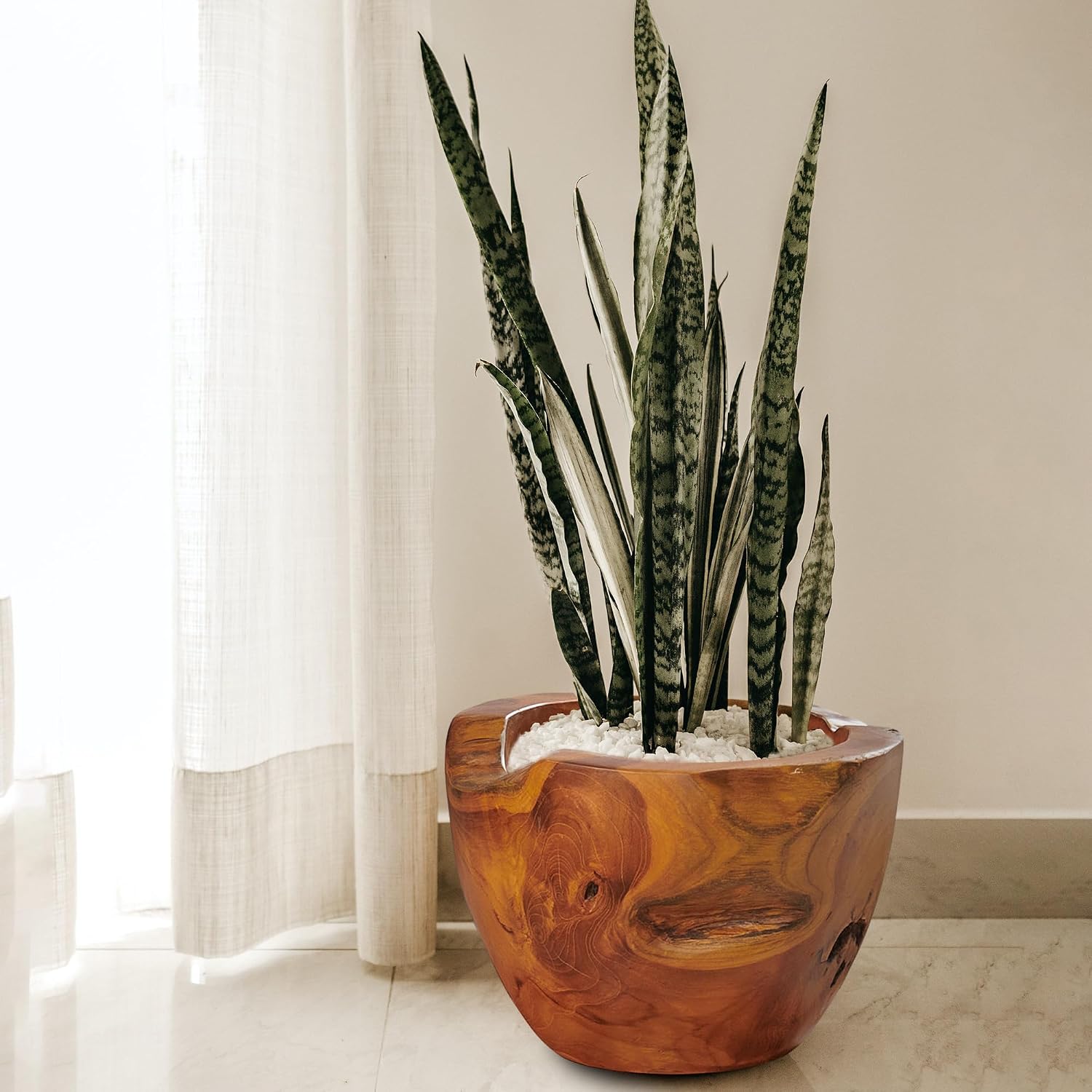 Teak Handcrafted Pot Natural Wood Vase 11.7" x 11.7" x 8.2"H Rustic Flower Holder Bowl Brown Stain Artworks Planter Living Room Home Christmas Décor