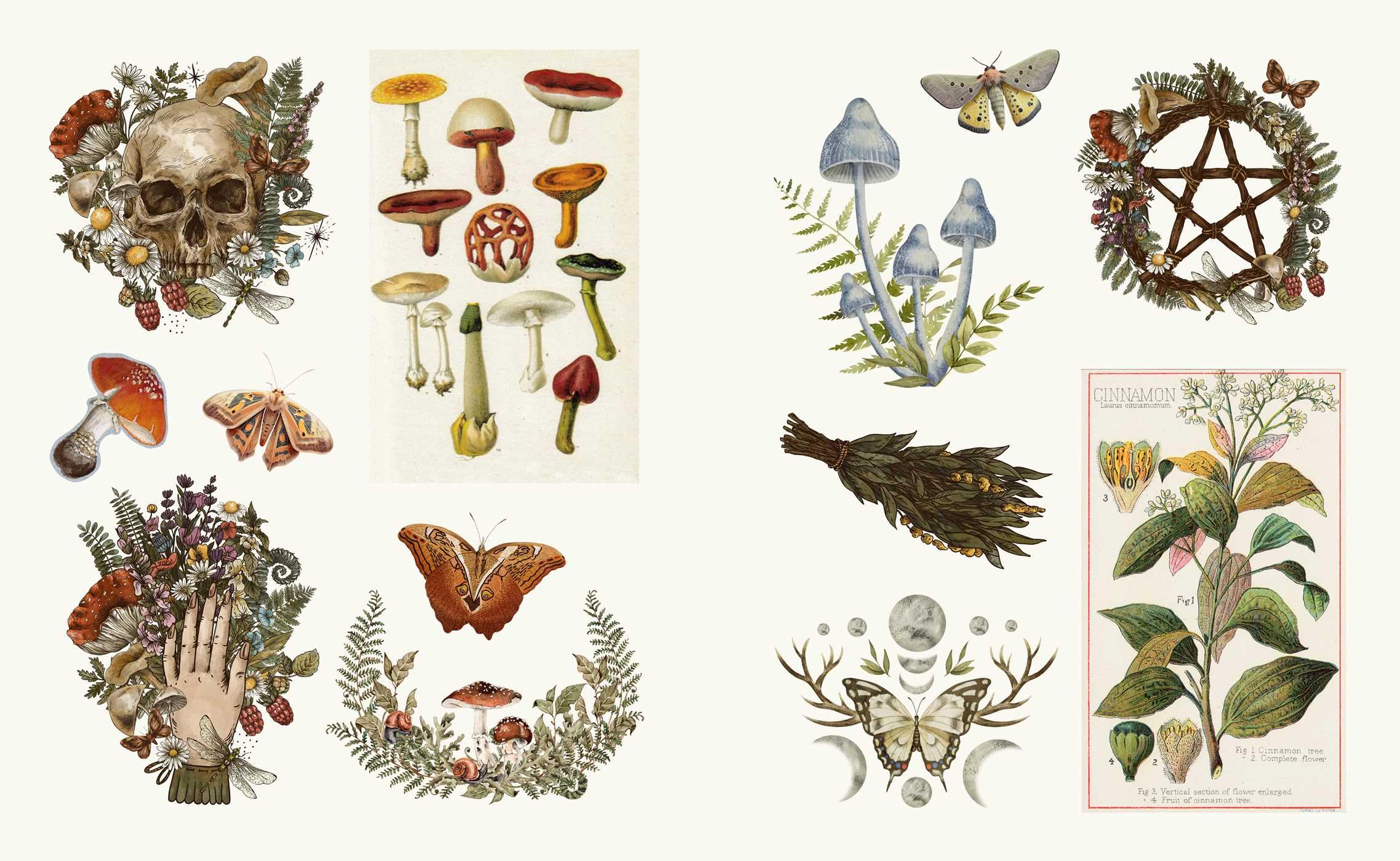 Mystical Esoterica Sticker Book
