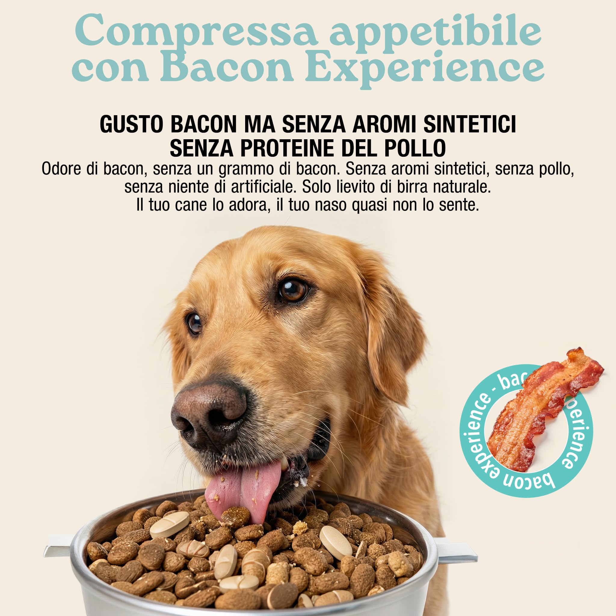 MyPetPrime Articolazioni Cane Mangime Complementare 125 Compresse | Nuova Formula JointSupport con MSM, Polvere di Cozza Verde, Glucosamina, Condroitina e Artiglio del Diavolo