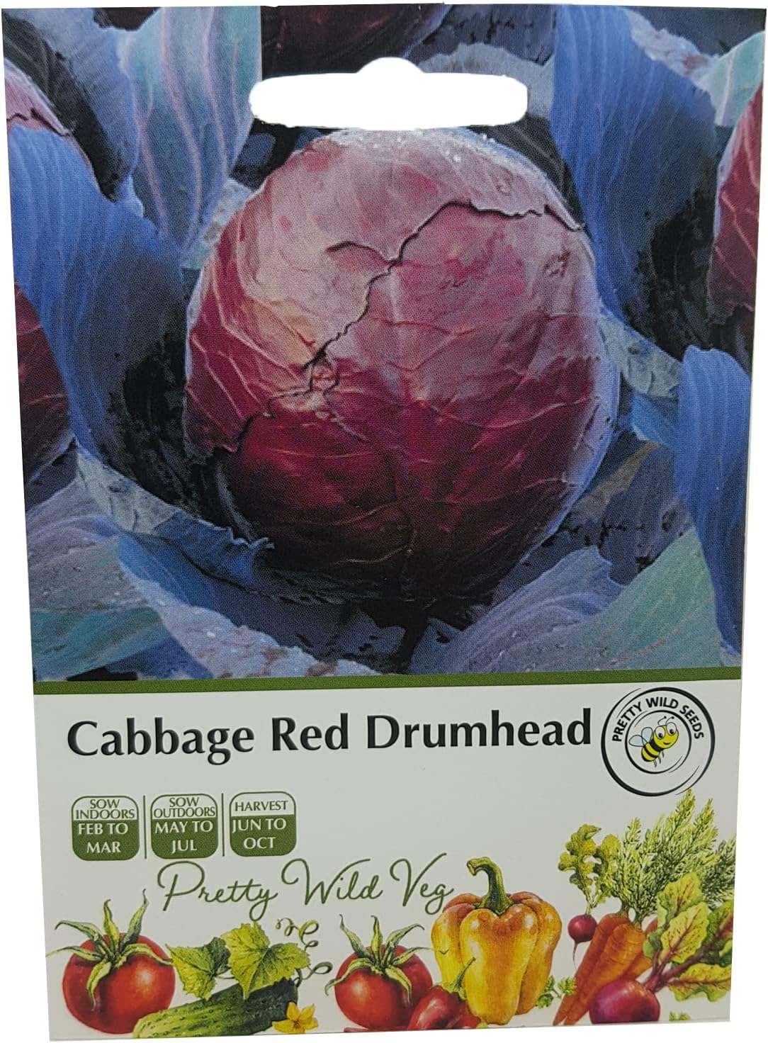 Cabbage Red Drumhead Seeds in Pictorial Packet from a UK Seller Solid