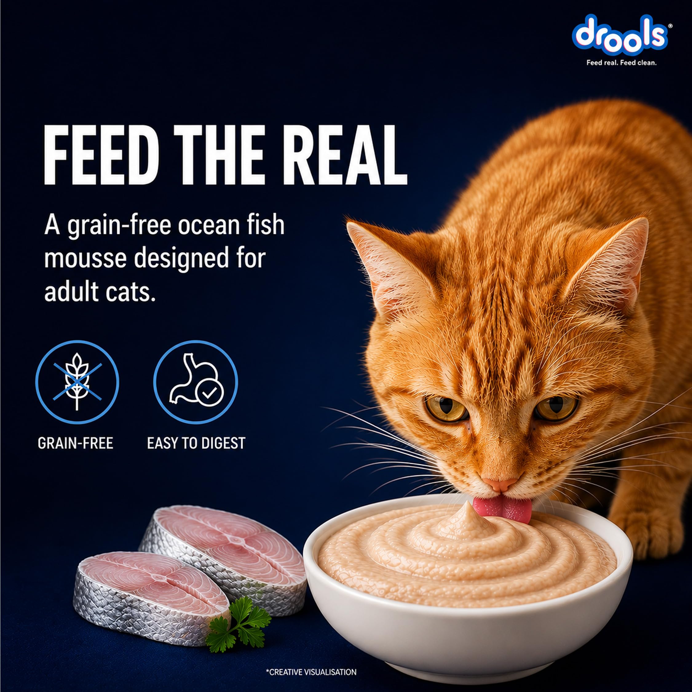 Drools Adult Cat Wet Mousse 80g | Ocean Fish | High Protein | Supports Hydration & Easy Digestion | Grain Free | No Artificial Additives | Enriched with Vitamins & Antioxidants 1