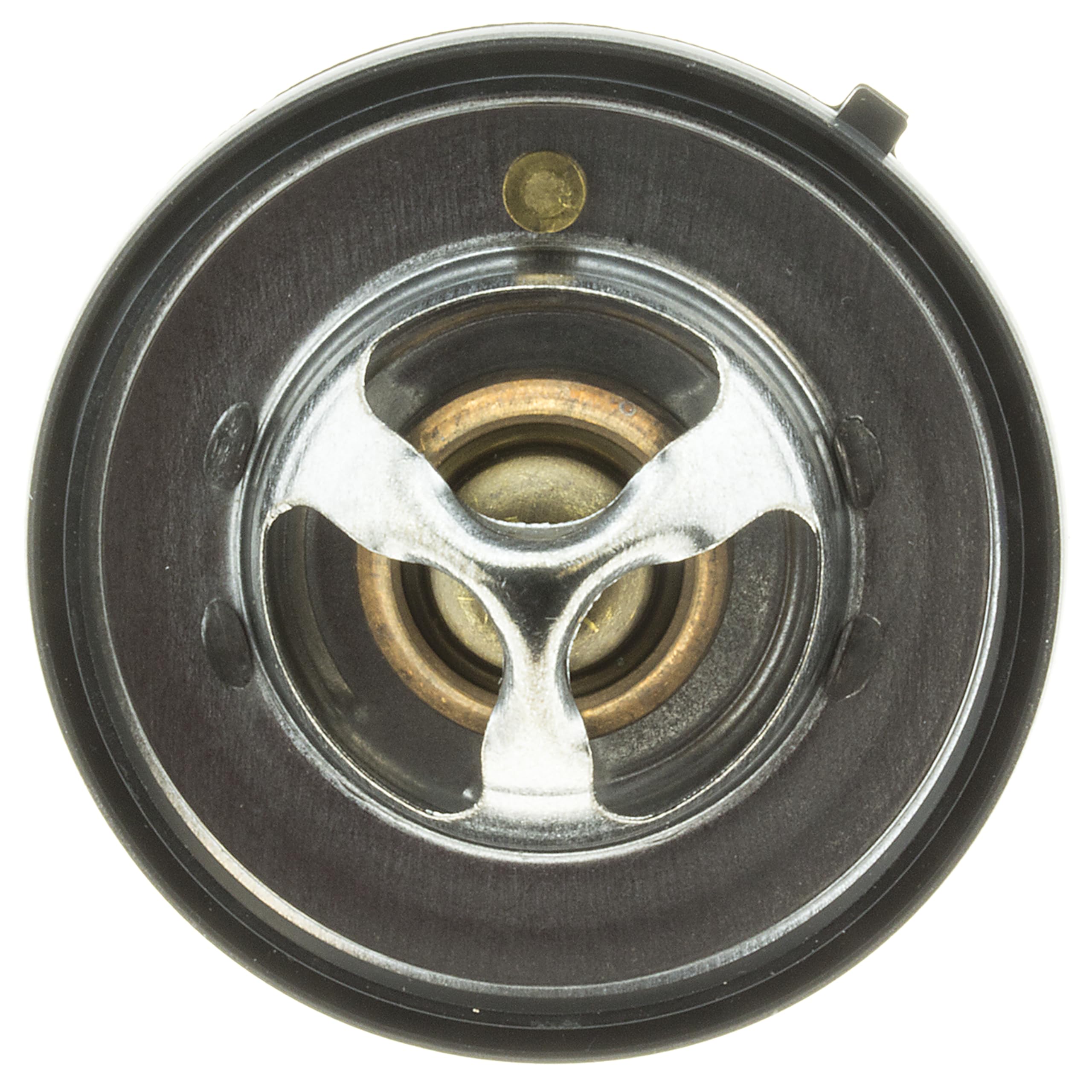 Stant 14369 Termostato °C