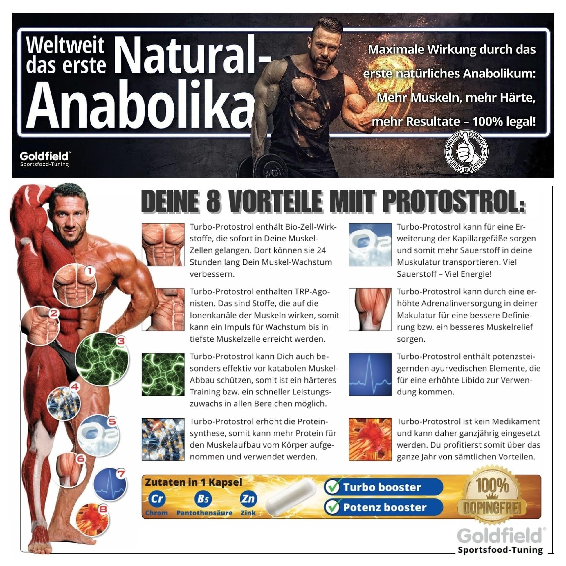 NEU! Goldfield Protostrol | Natural Anabolika | Muskelaufbau Kapseln aus pantentiertem Phenacrosinol ™Komplex | Potenz Ashwagandha | Calisthenics - Fitness & Testo Booster | 60 Kapseln