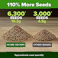 Vista 86 de HOME GROWN Más de 1000 semillas de cilantro para plantar en interiores o exteriores, hierbas tradicionales sin OMG, semillas de plantas de cilantro