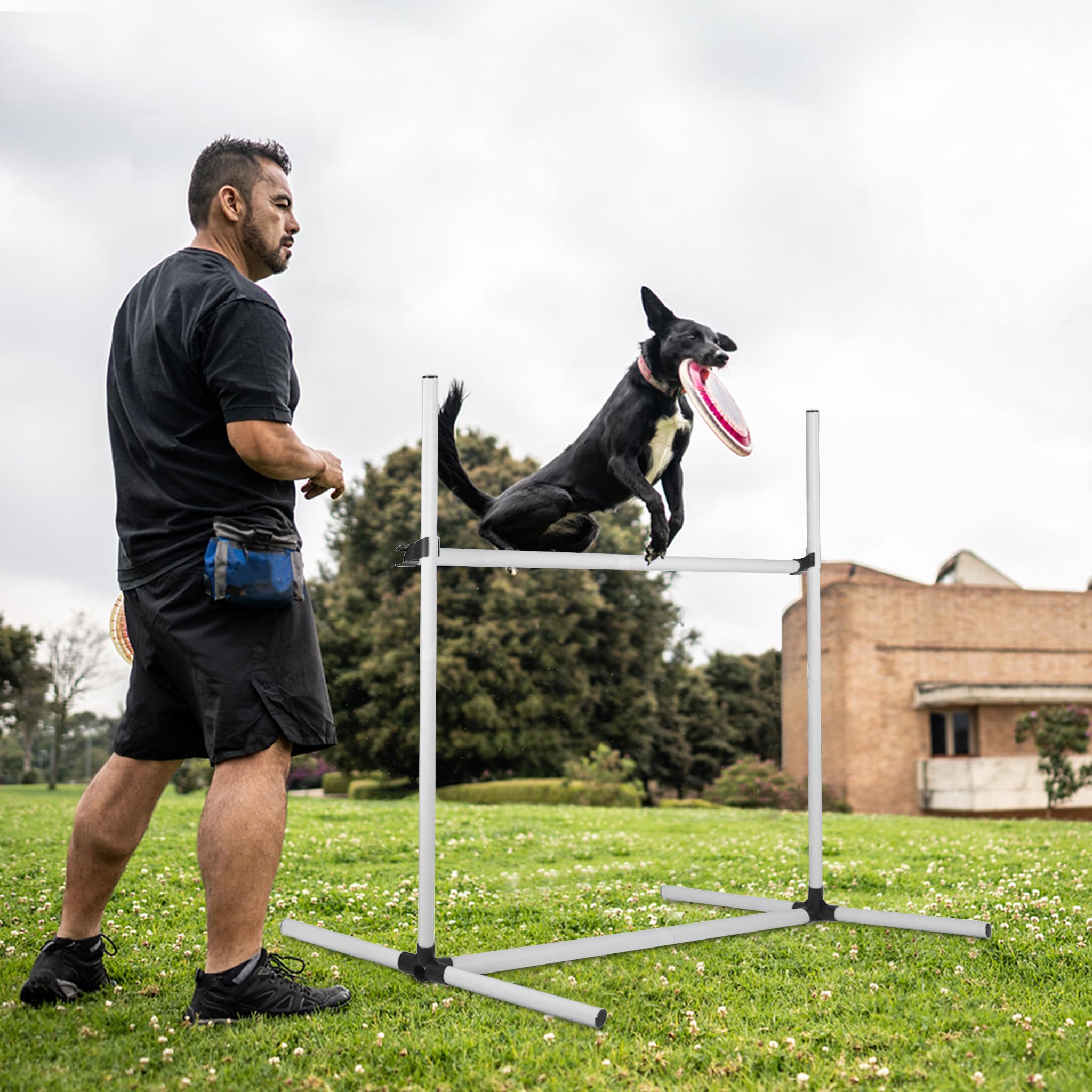 FIVMEN 4X Agility Set Hunde Slalomstangen Hund Training Set Höhenverstellbar Kunststoff Hürdenset Hobby Horse Hindernisse mit Transporttasche für Hundetraining Hundesport, Weiß